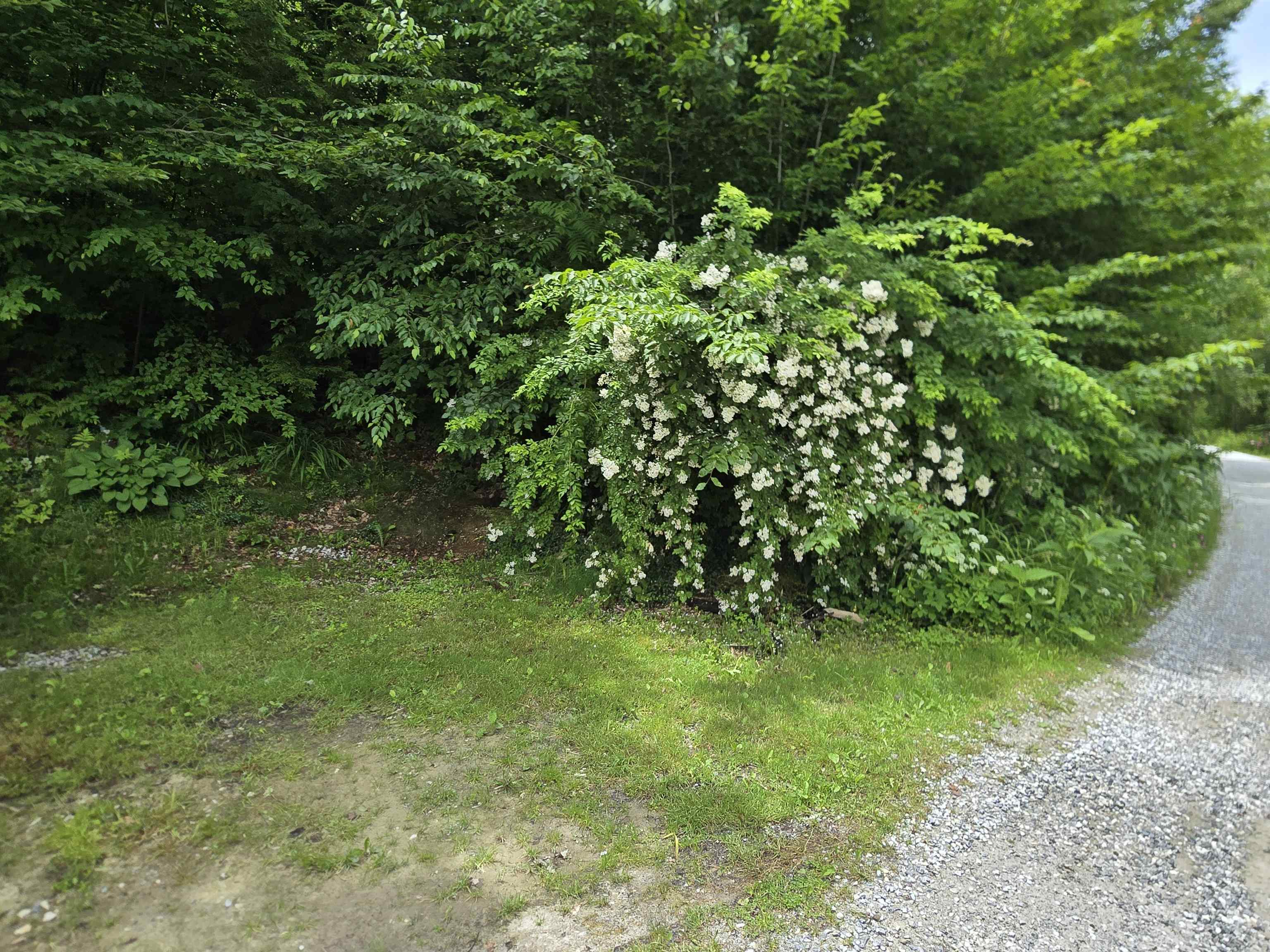 16 West Shore Drive Property Photo 19