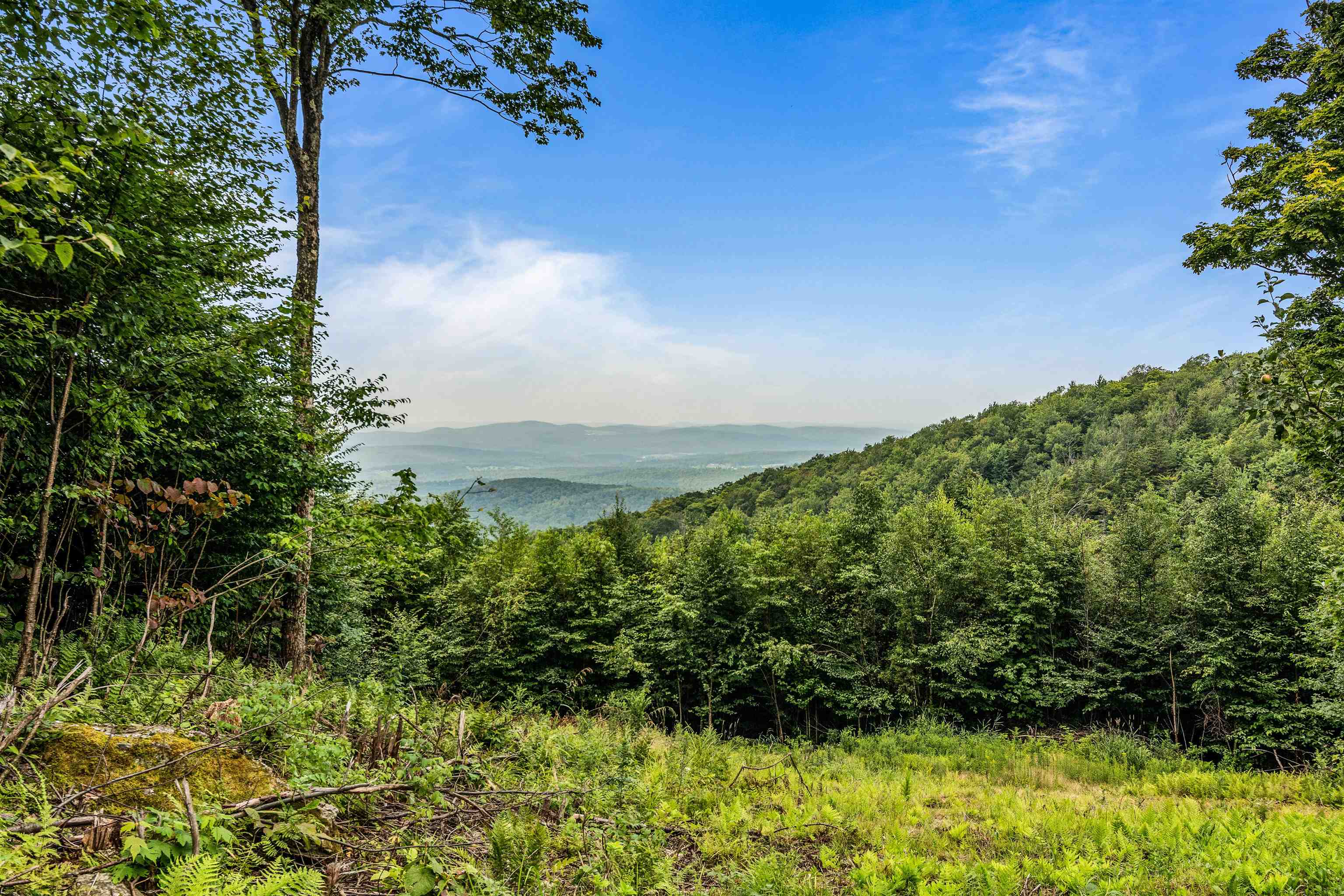 942 Deer Run Lane Property Photo 43