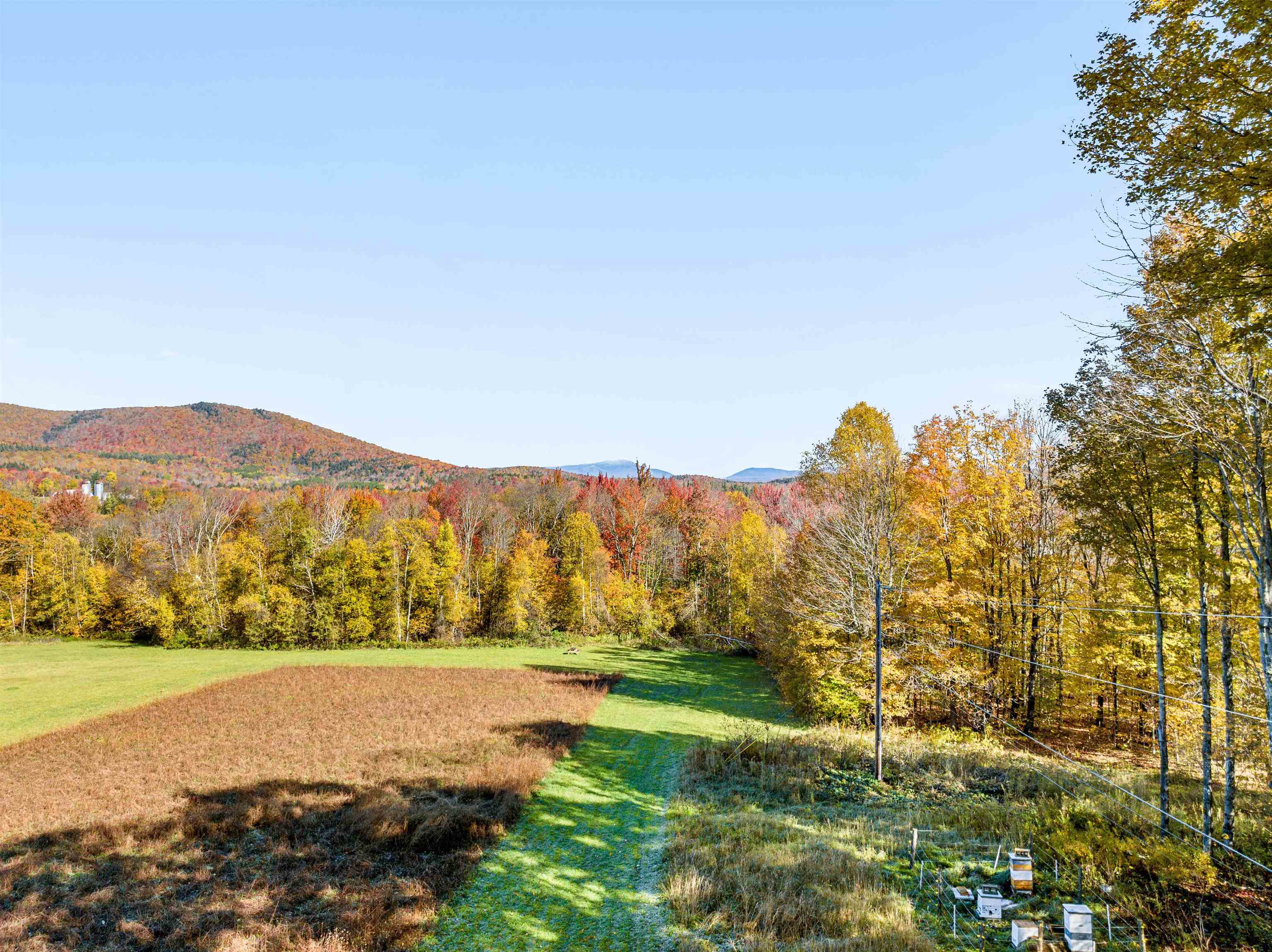 3324 Mud City Loop Property Photo 15