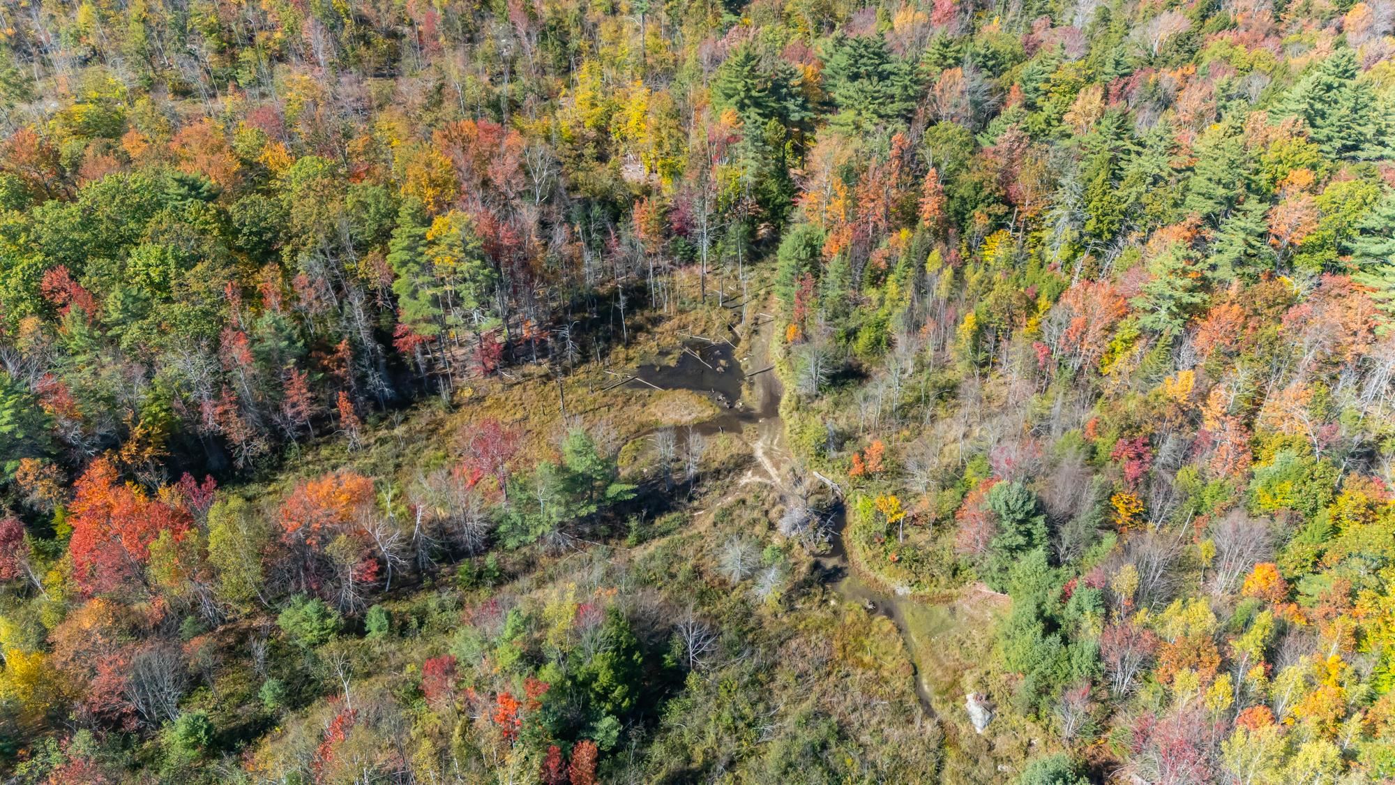 162 Rocky Ledge Road Property Photo 53