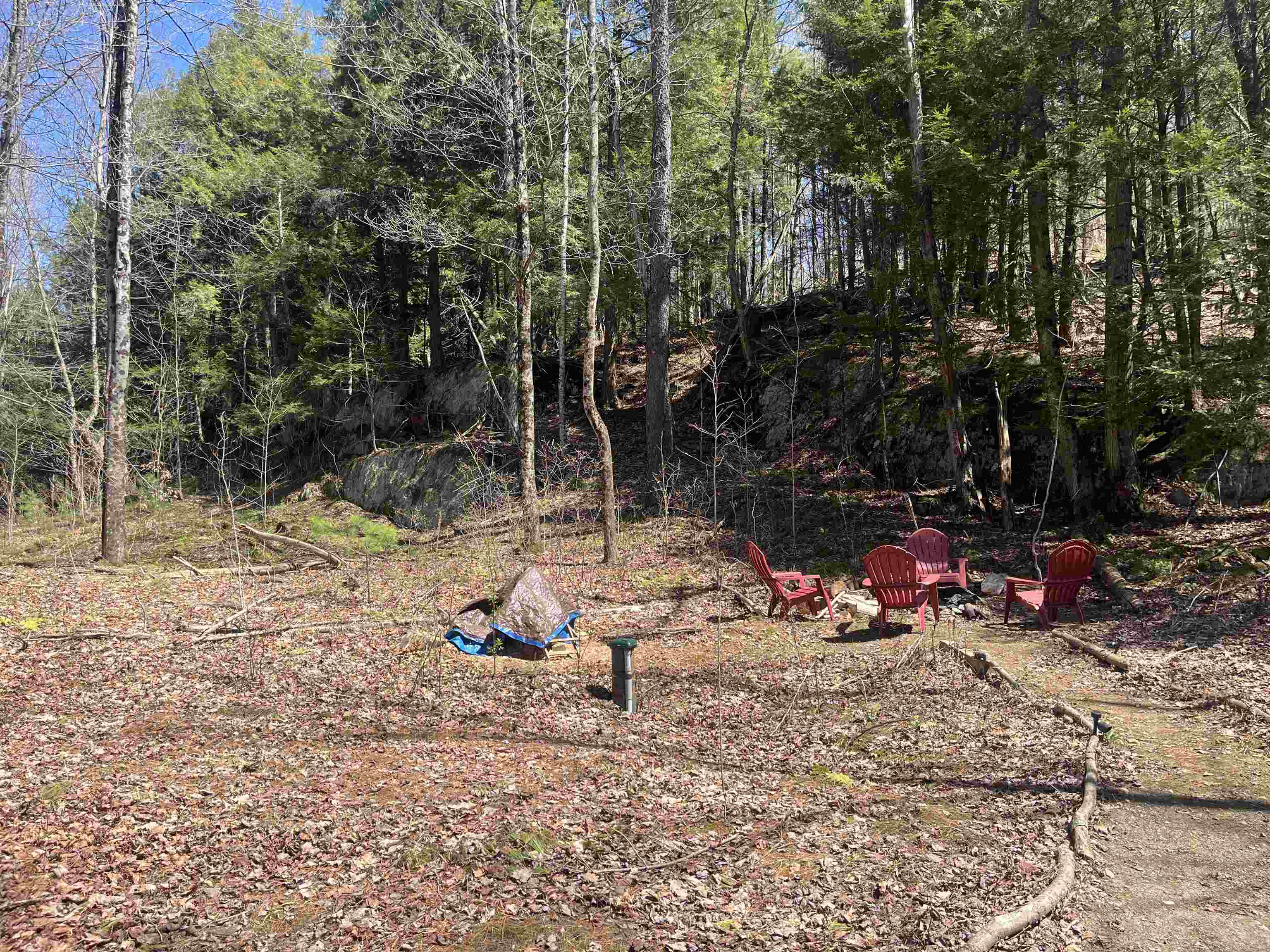 1295 River Road Property Photo 20