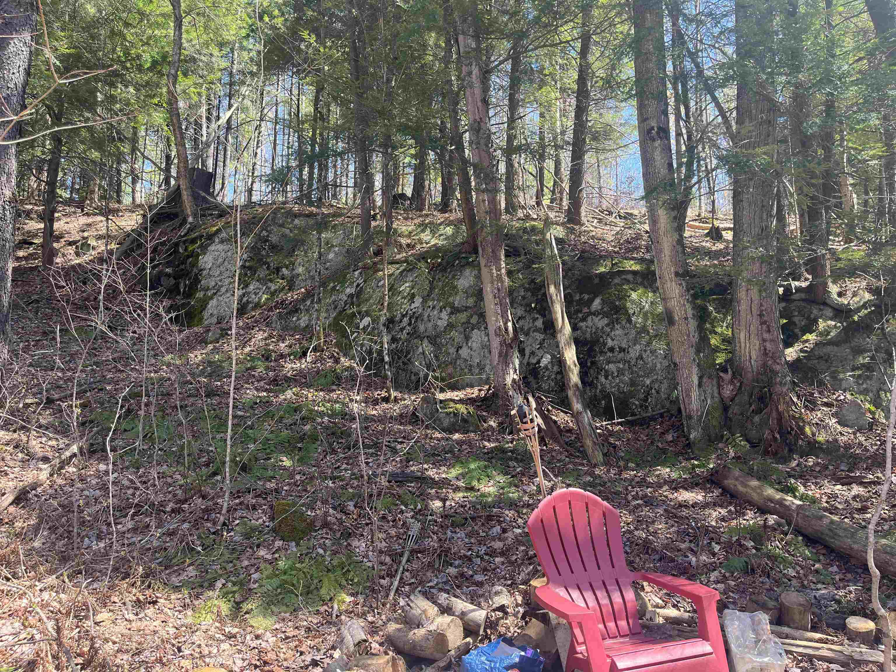 1295 River Road Property Photo 20