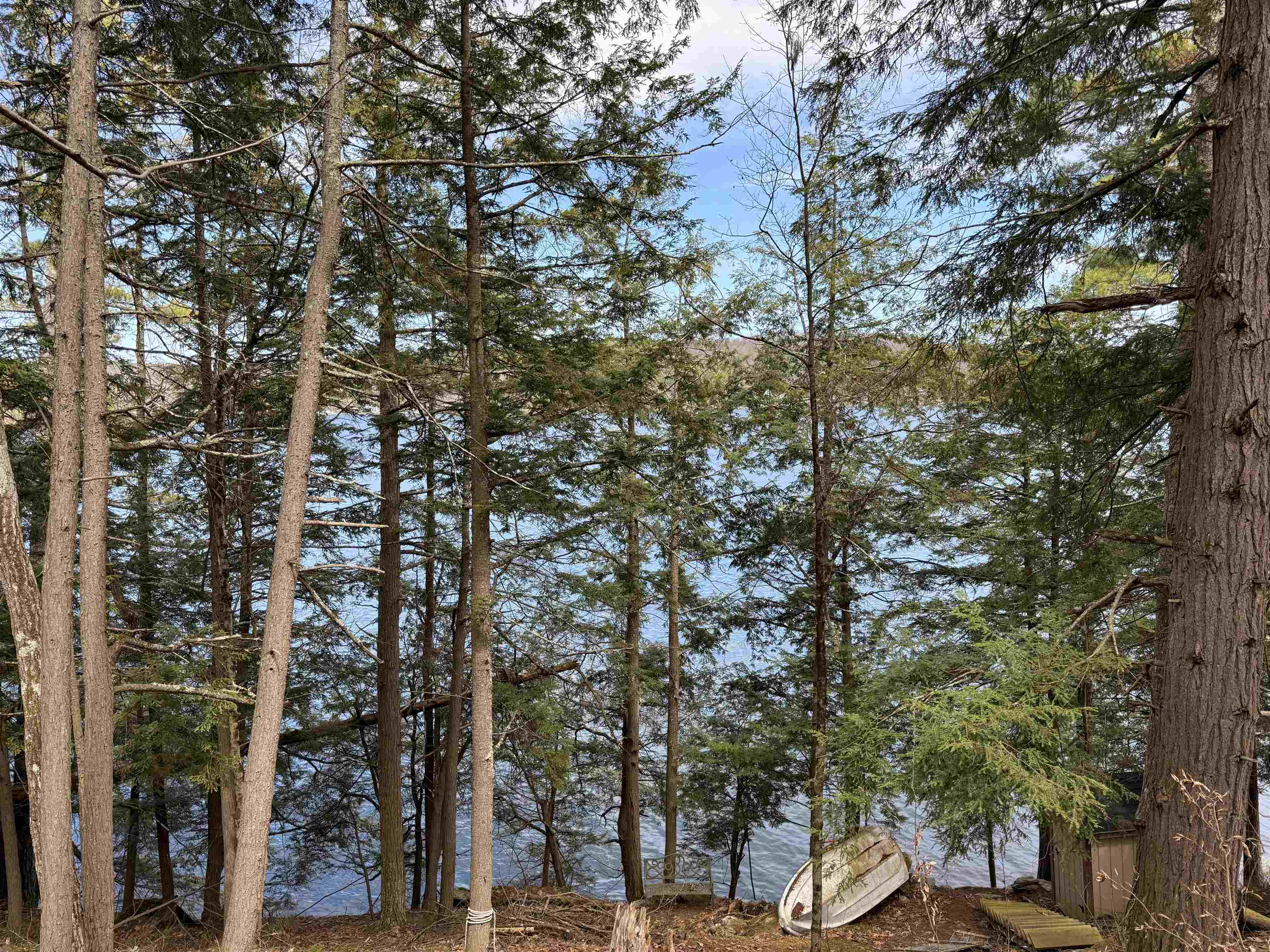409 Wilson Road Property Photo 5