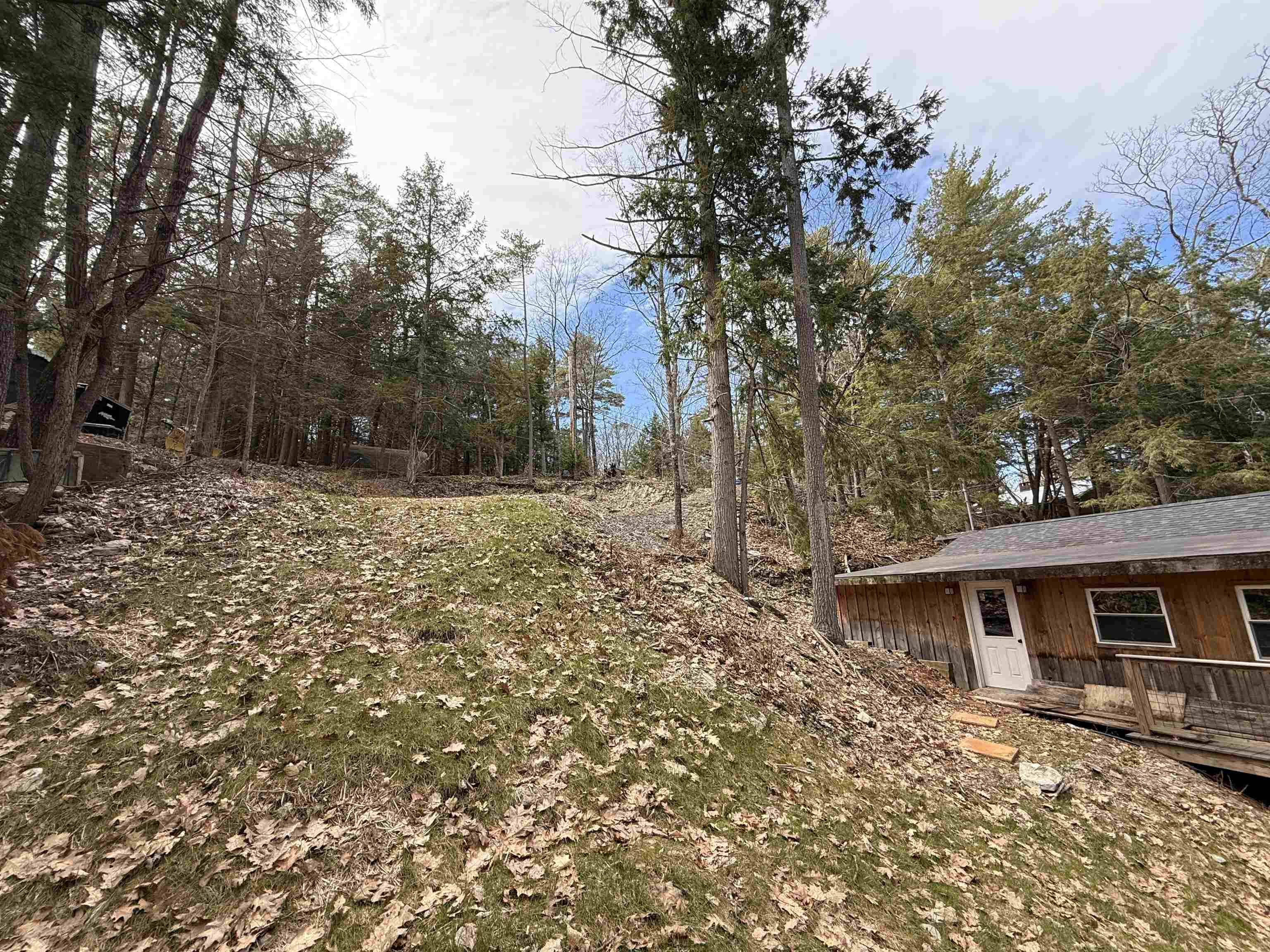 409 Wilson Road Property Photo 6