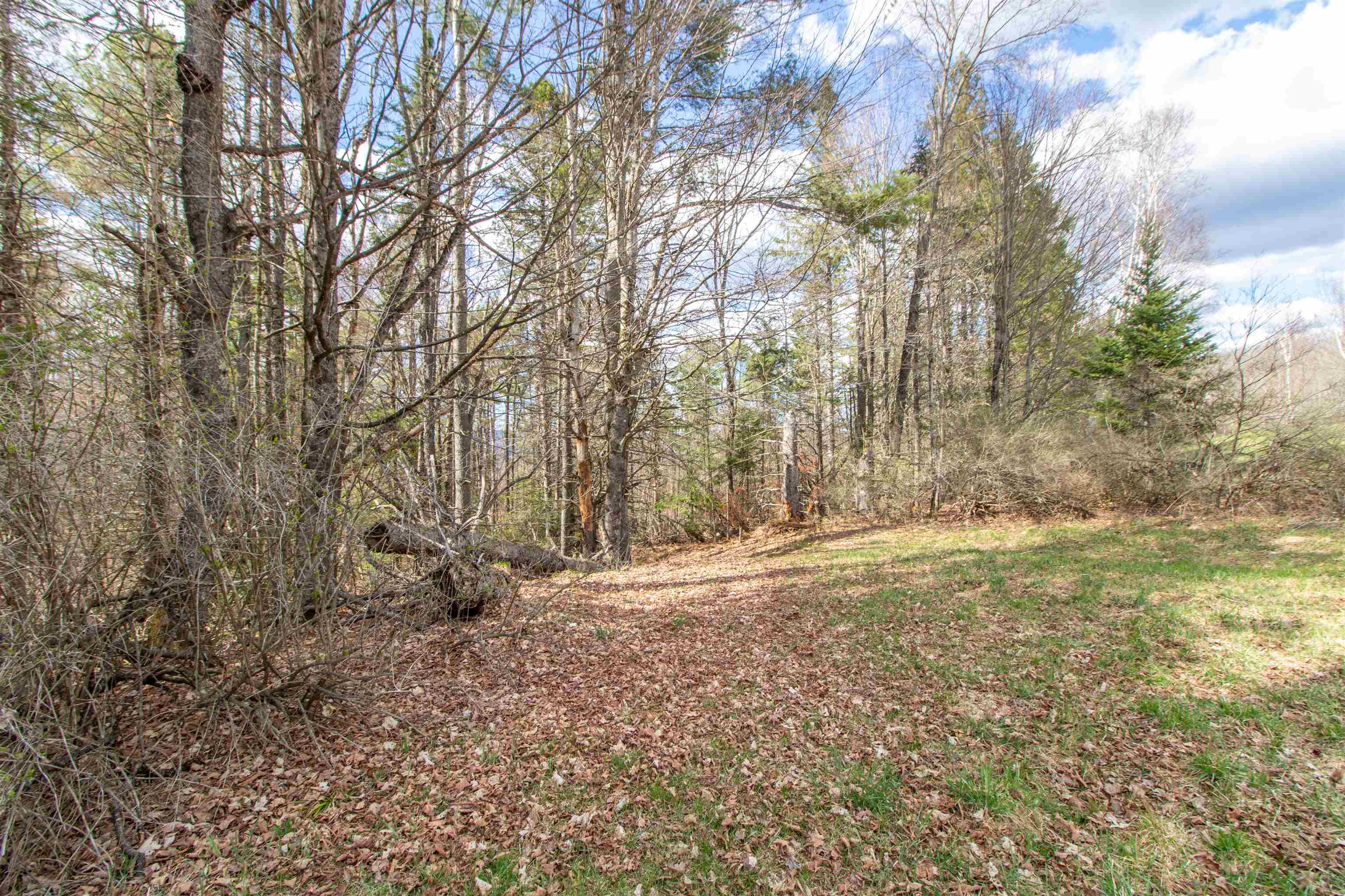 00 Darling Hill Road Property Photo 6