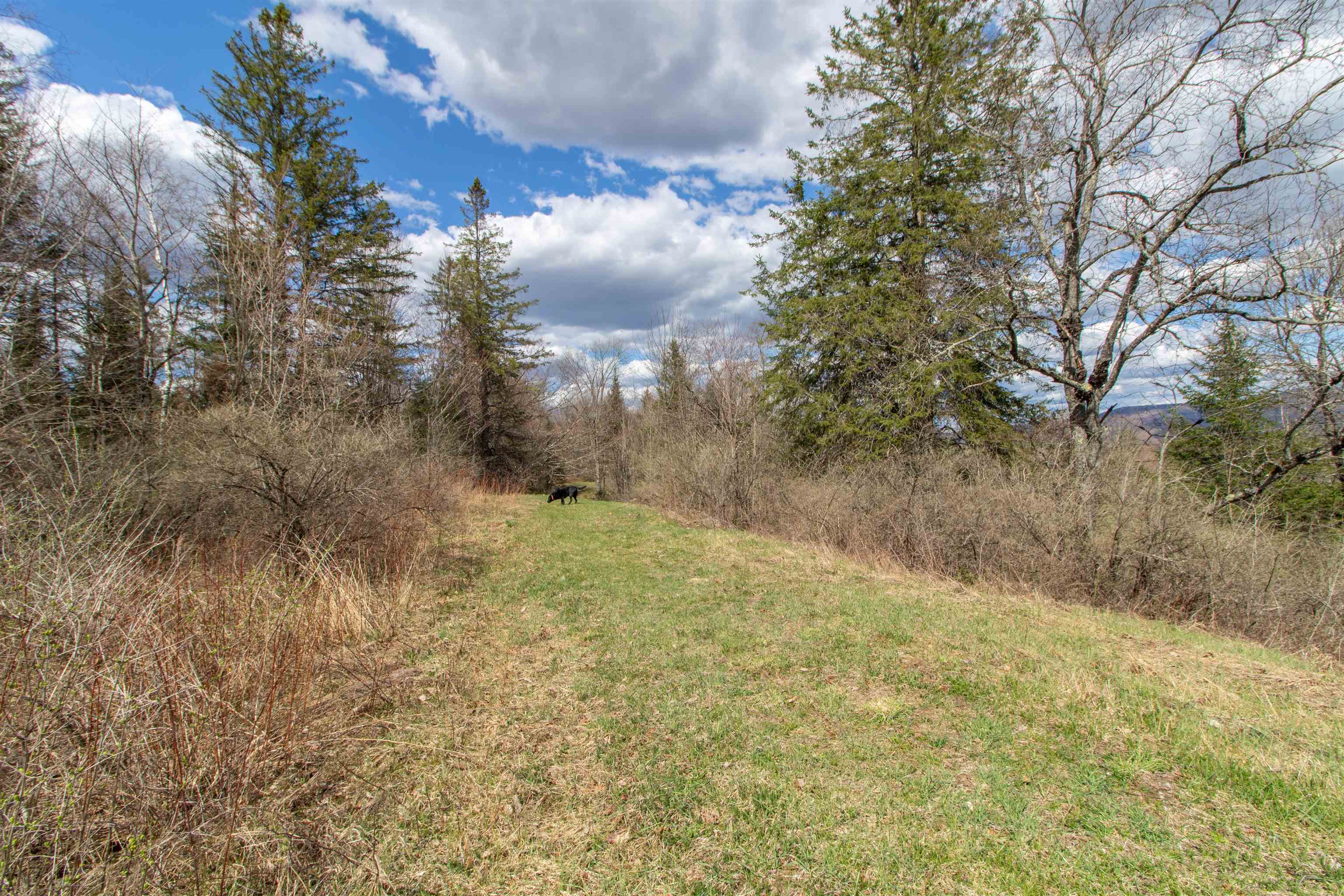 00 Darling Hill Road Property Photo 11