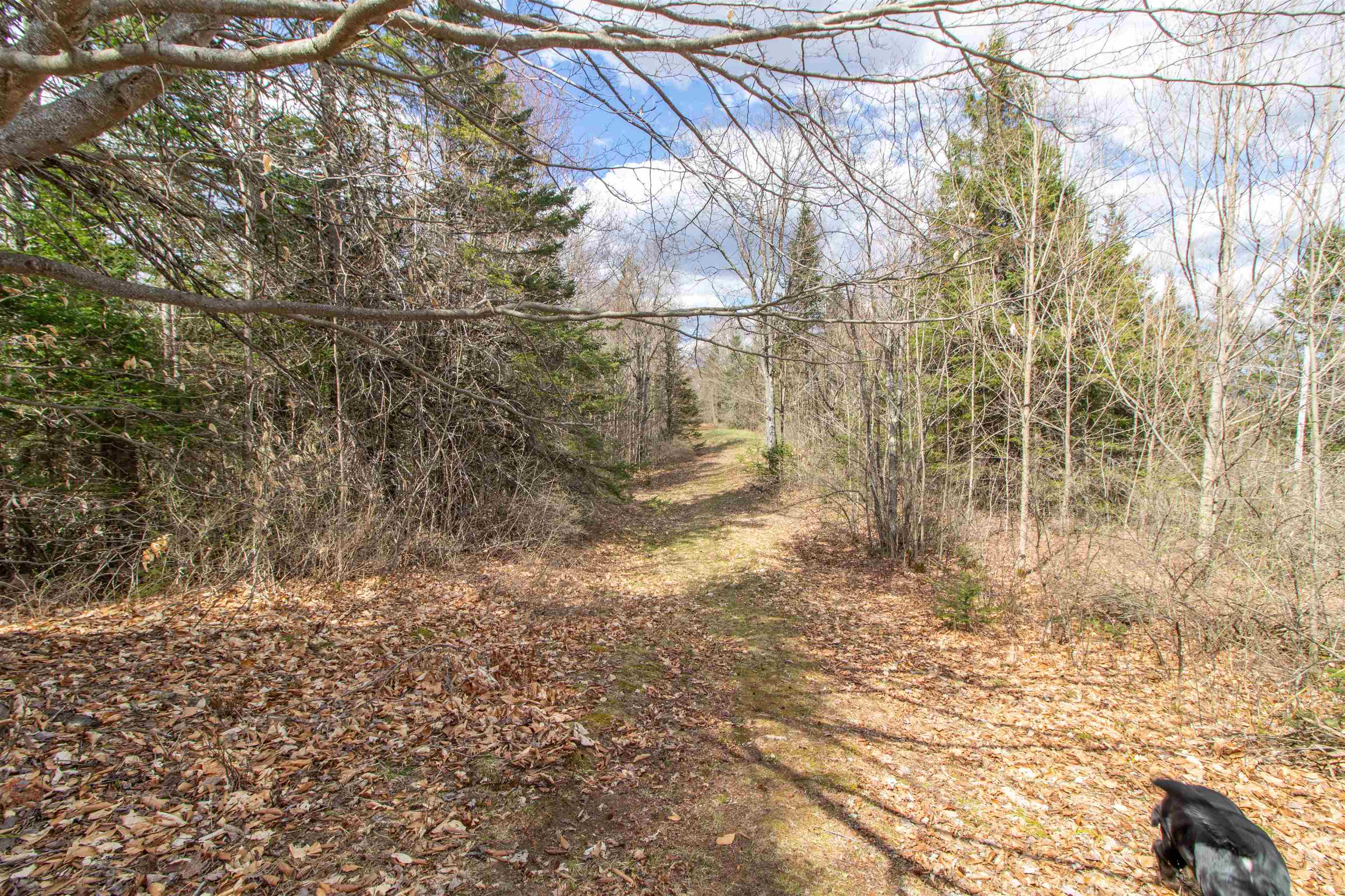 00 Darling Hill Road Property Photo 14