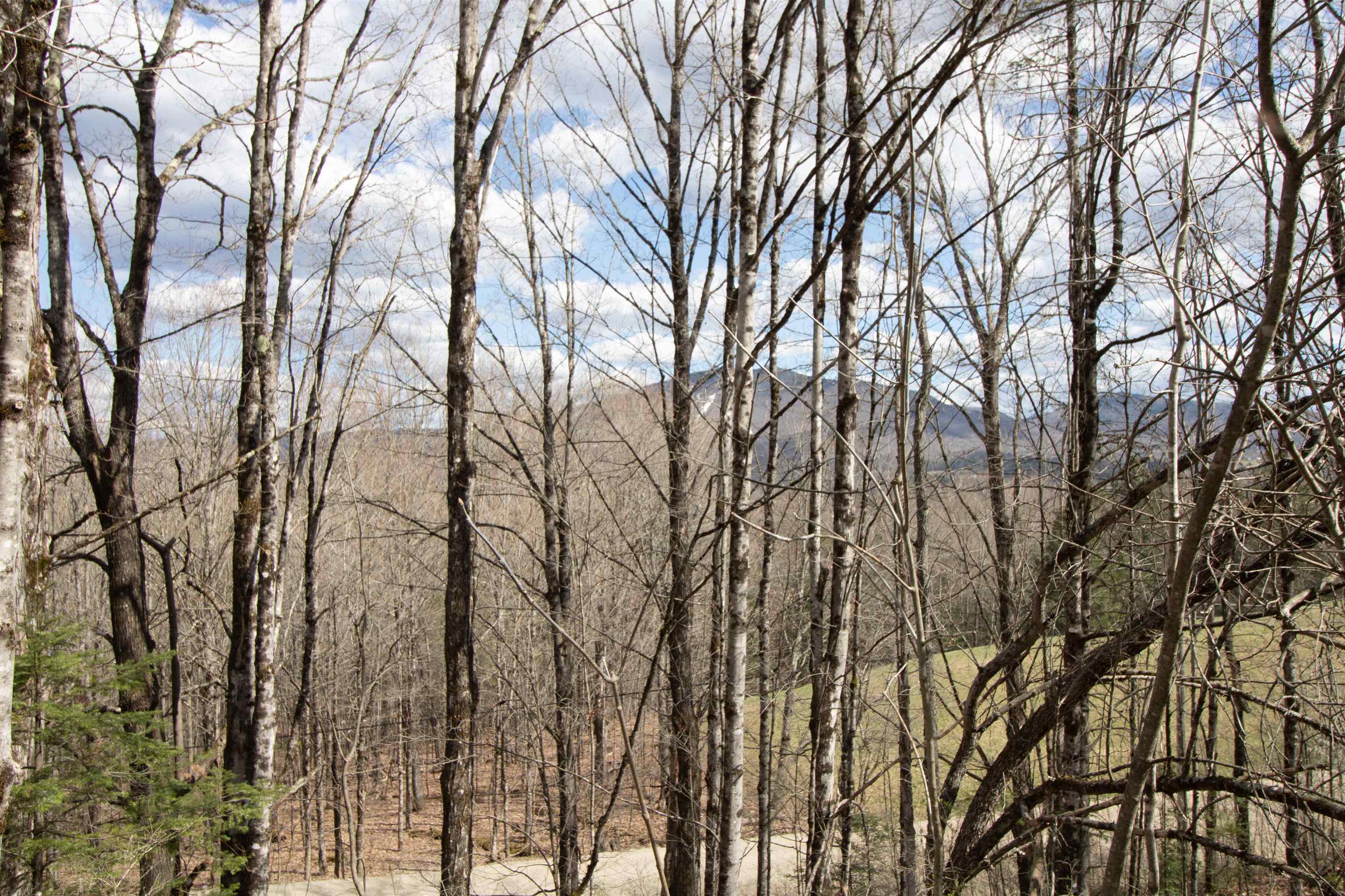 00 Darling Hill Road Property Photo 23