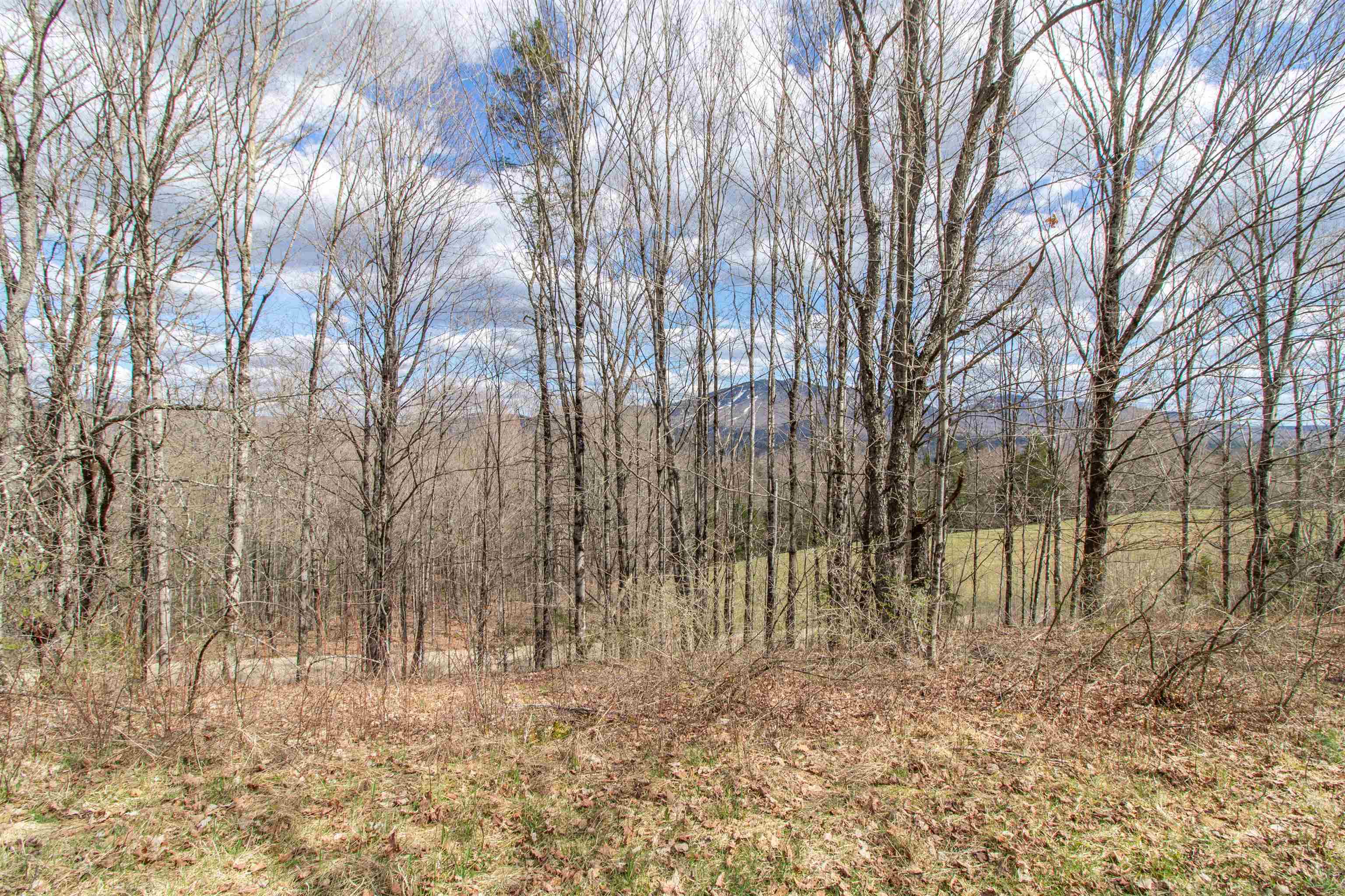 00 Darling Hill Road Property Photo 25