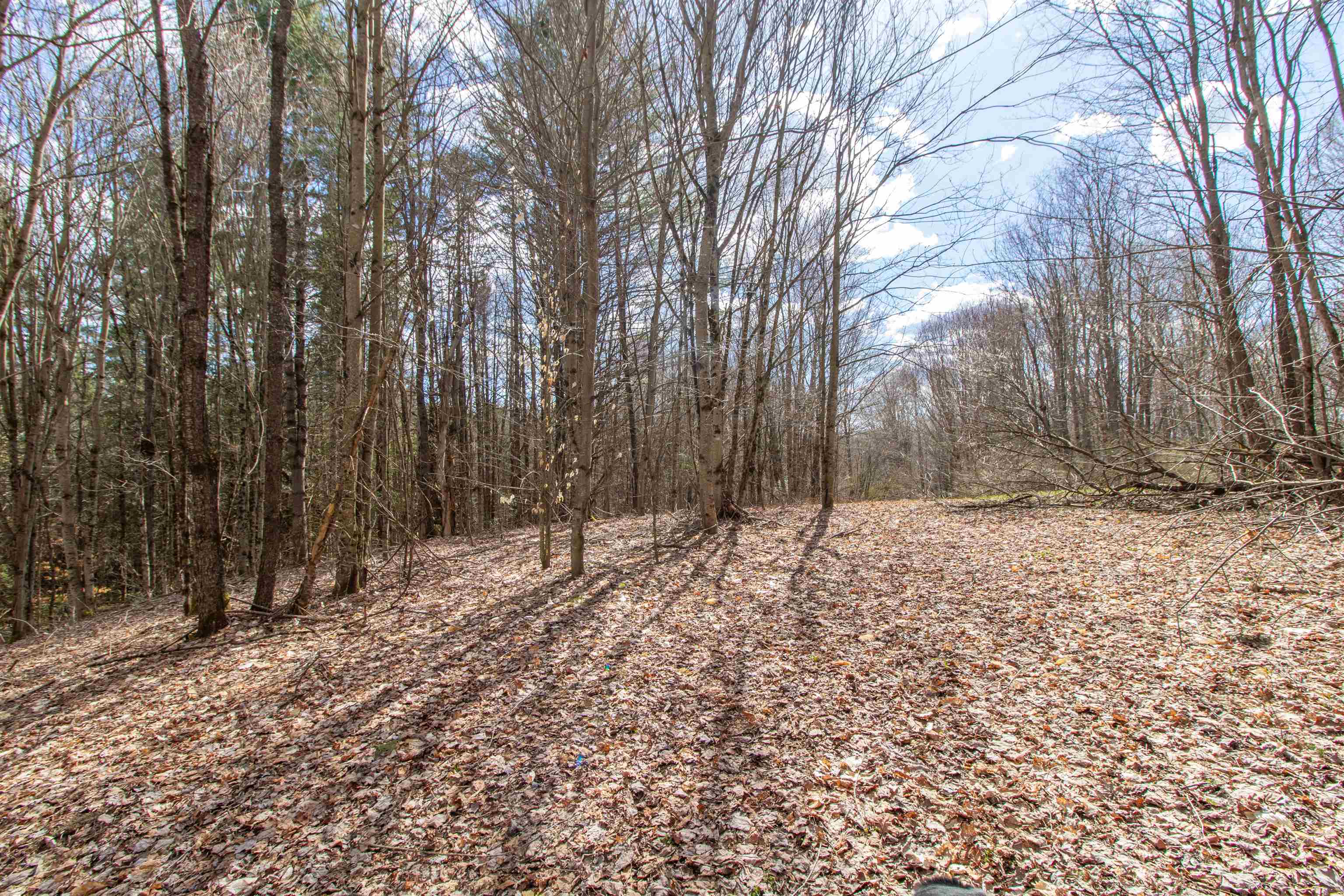 00 Darling Hill Road Property Photo 28