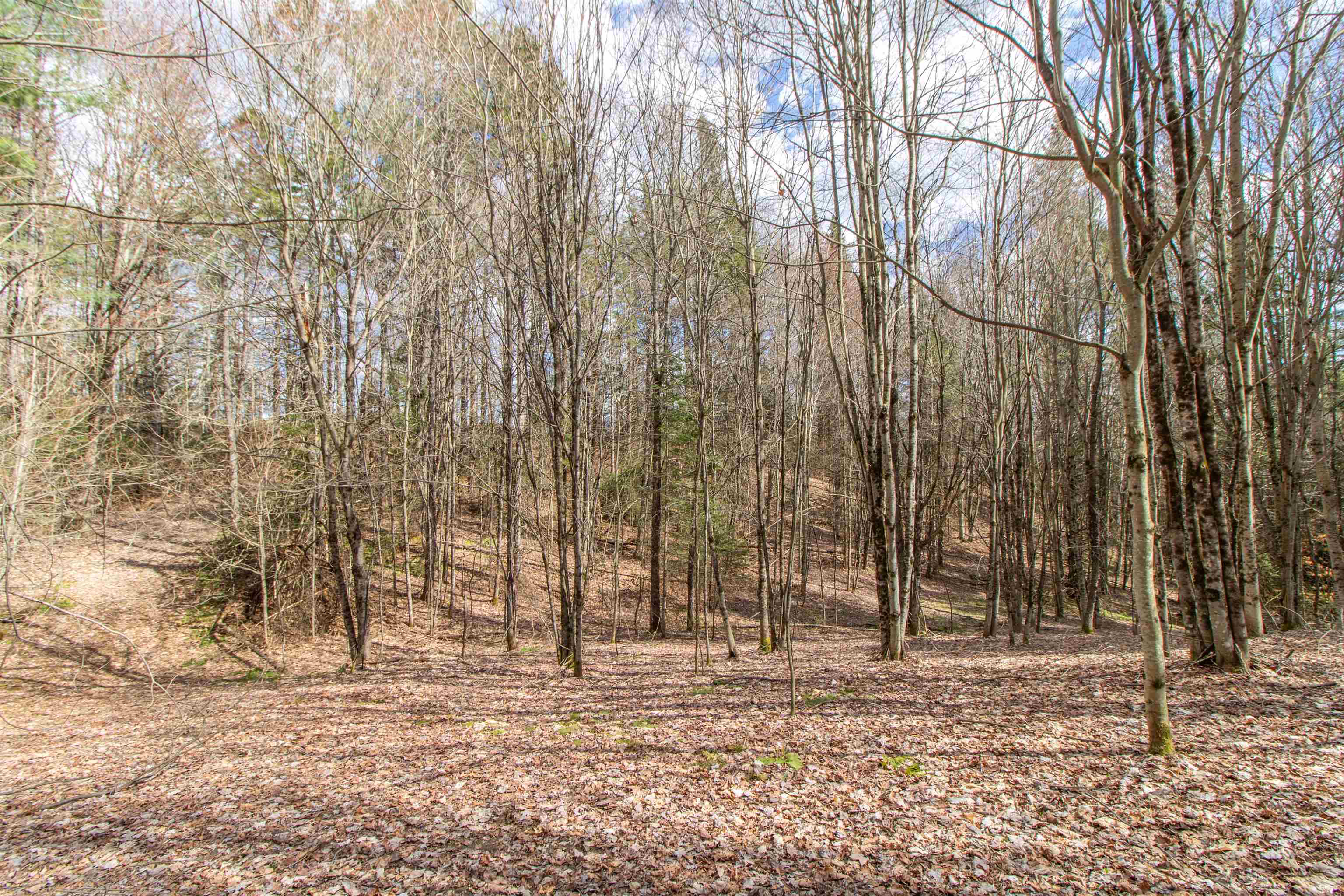 00 Darling Hill Road Property Photo 29