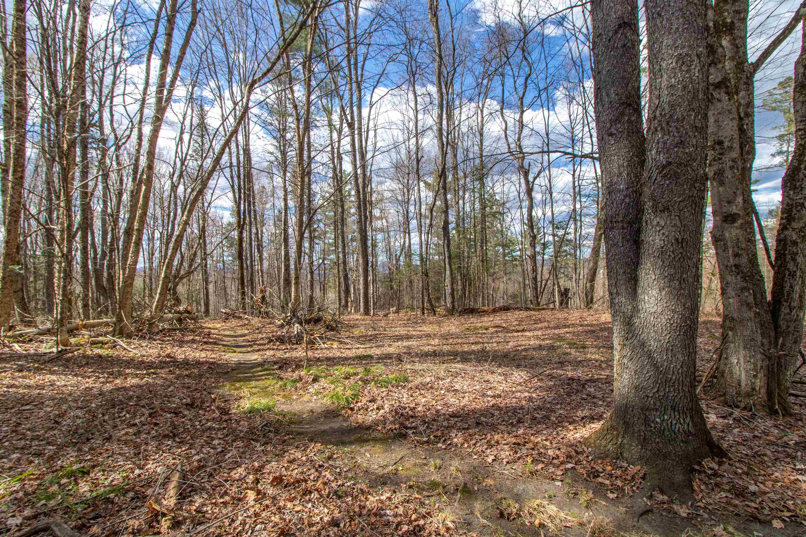 00 Darling Hill Road Property Photo 30
