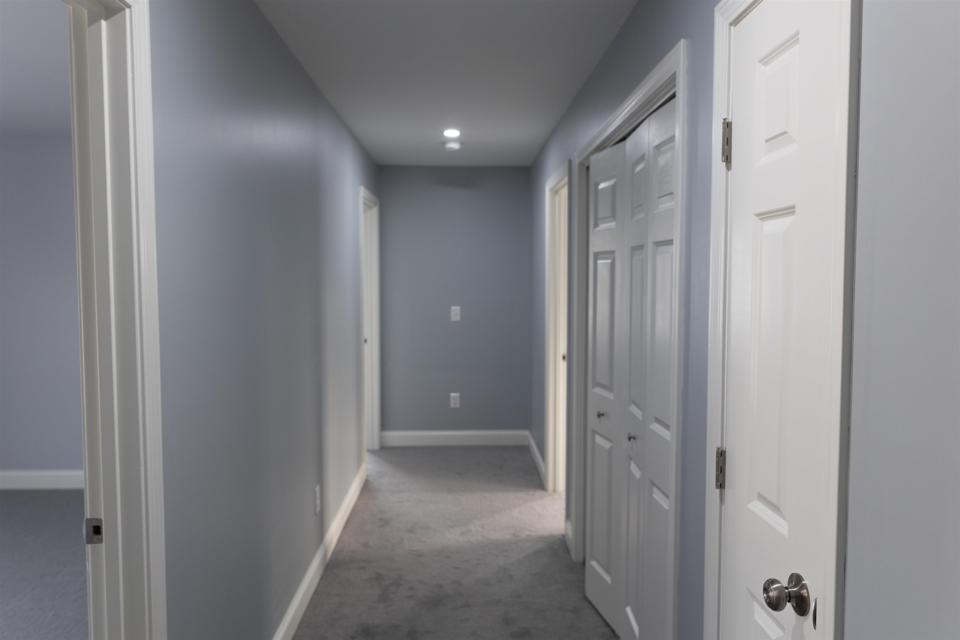 21 Library Street Property Photo 14
