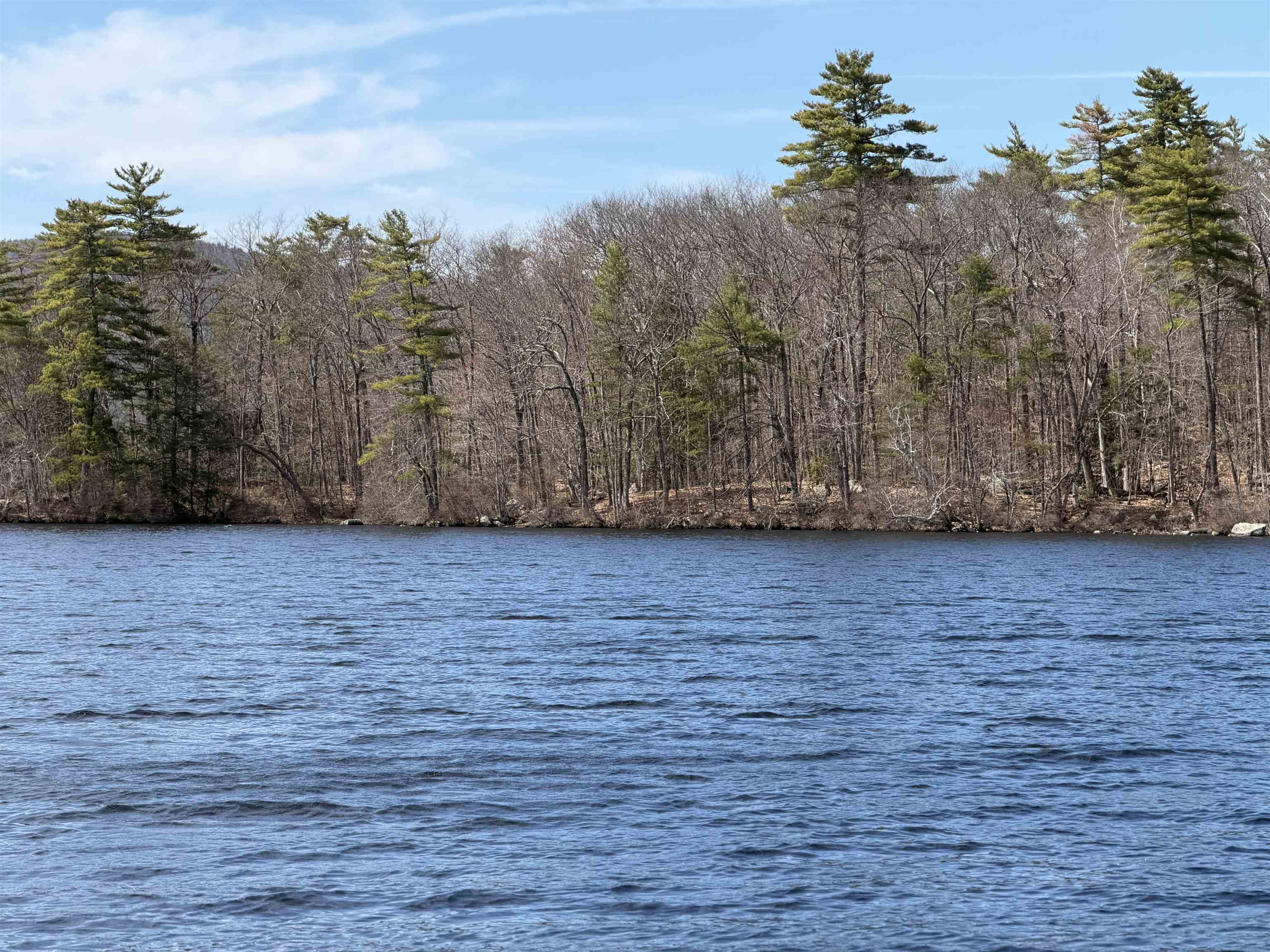 65.4 Gansy Island Property Photo 3