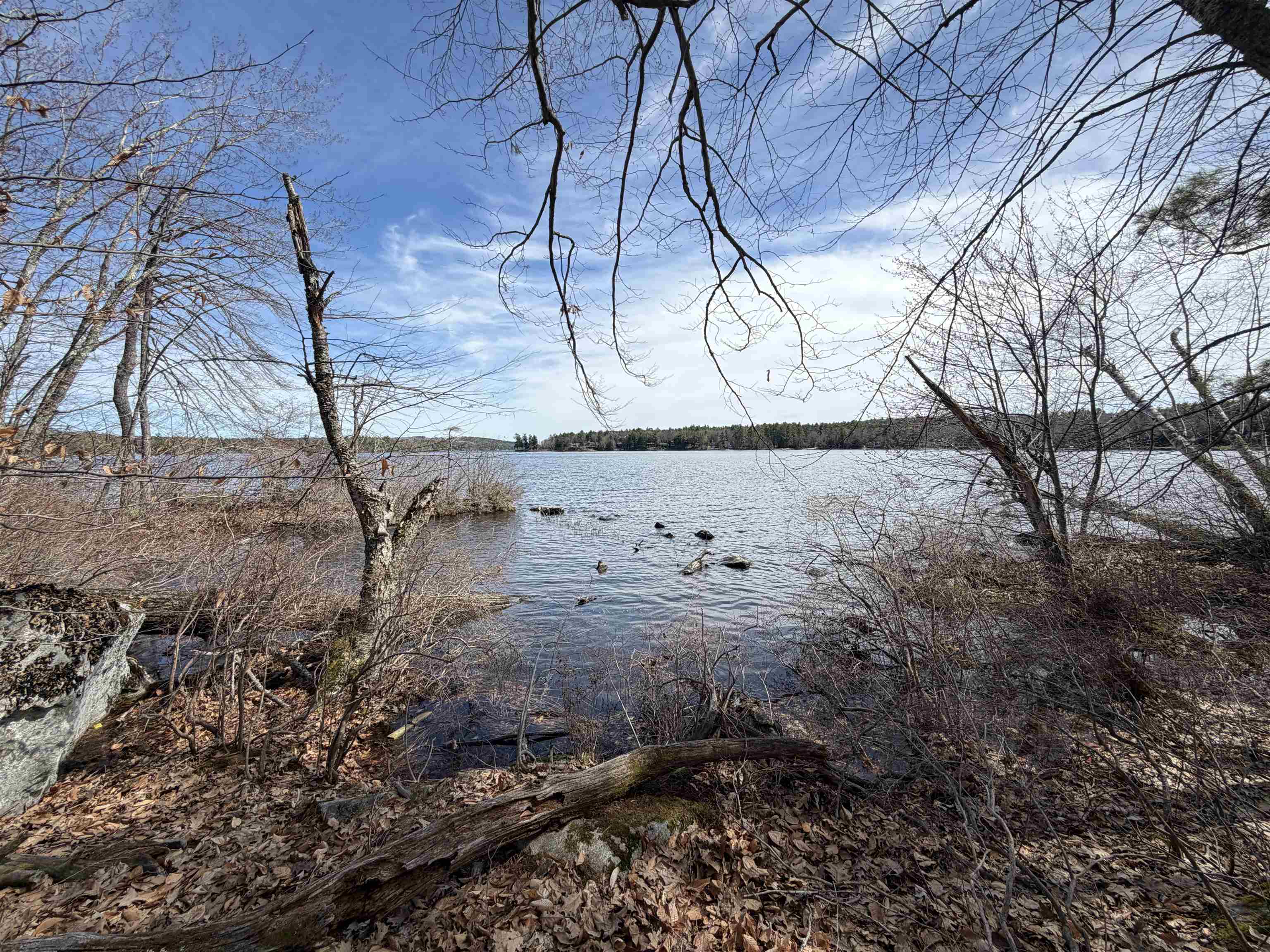 65.4 Gansy Island Property Photo 7
