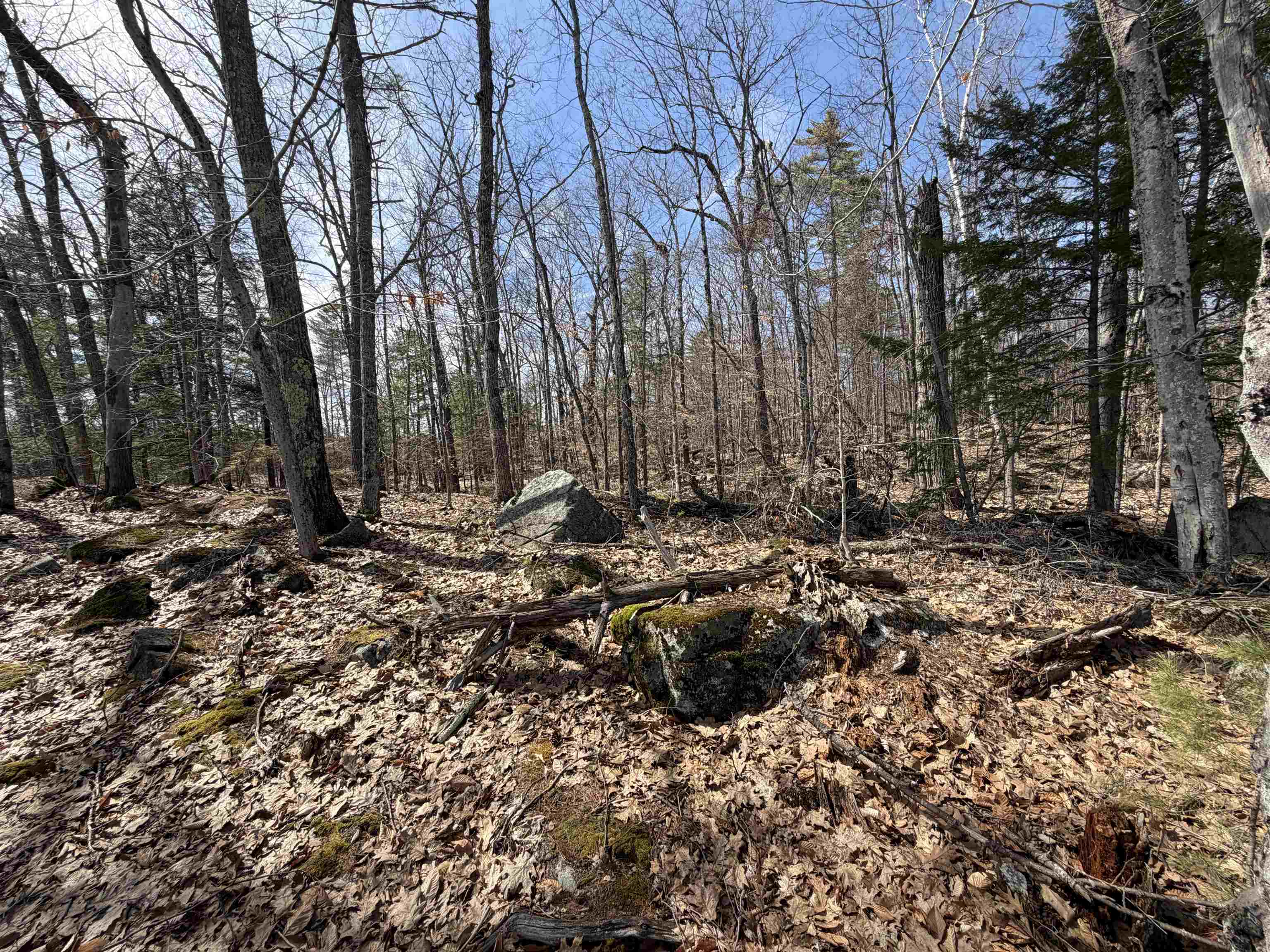 65.4 Gansy Island Property Photo 8