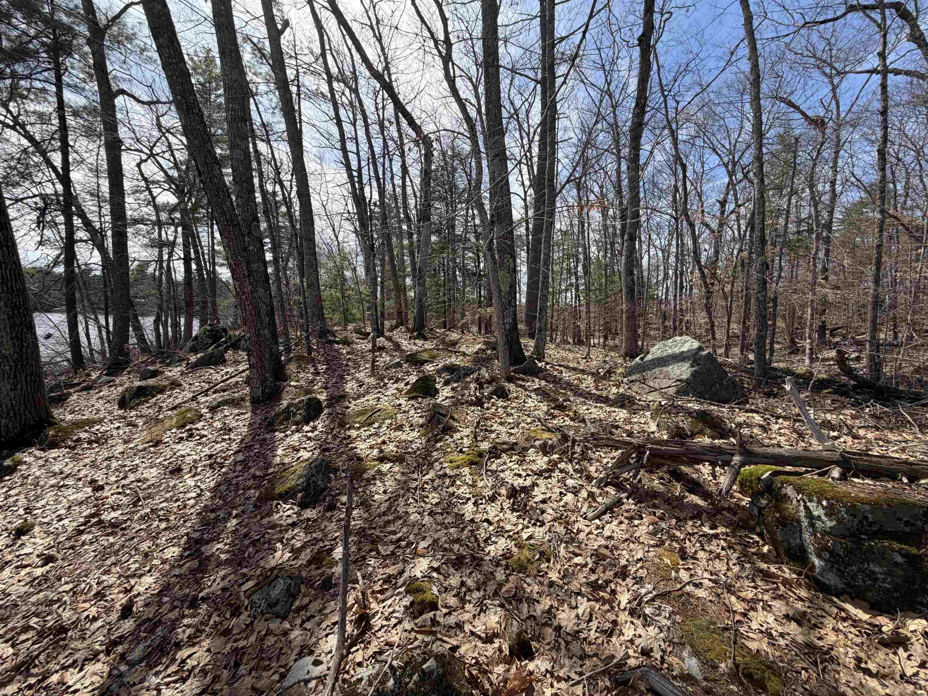 65.4 Gansy Island Property Photo 9