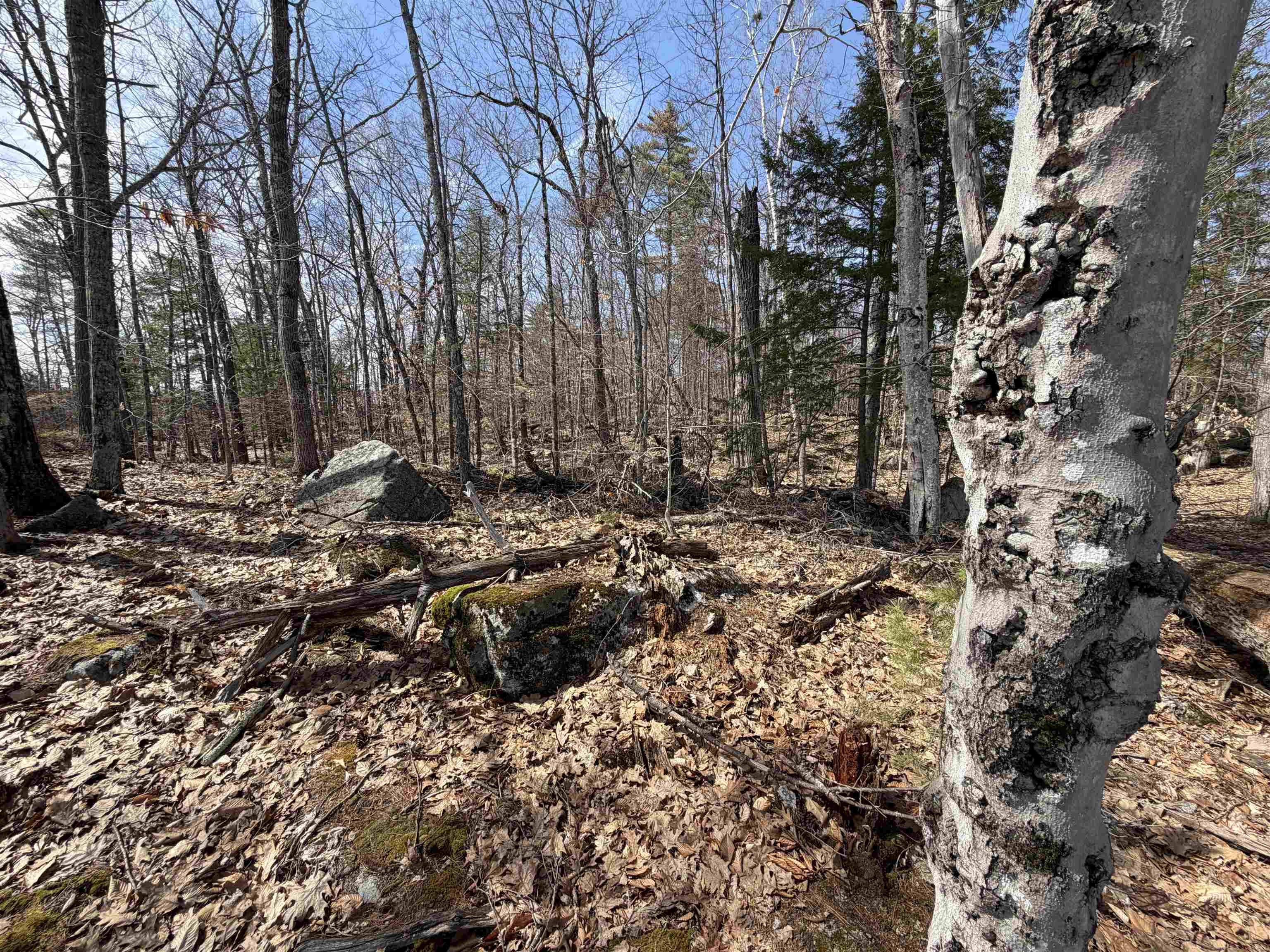 65.4 Gansy Island Property Photo 10
