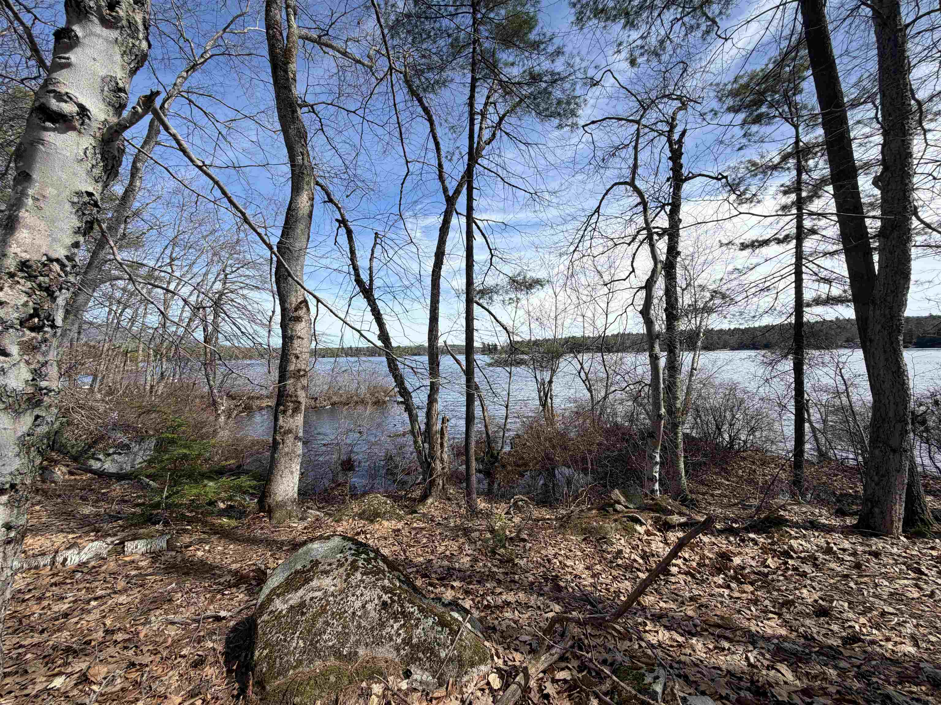 65.4 Gansy Island Property Photo 11