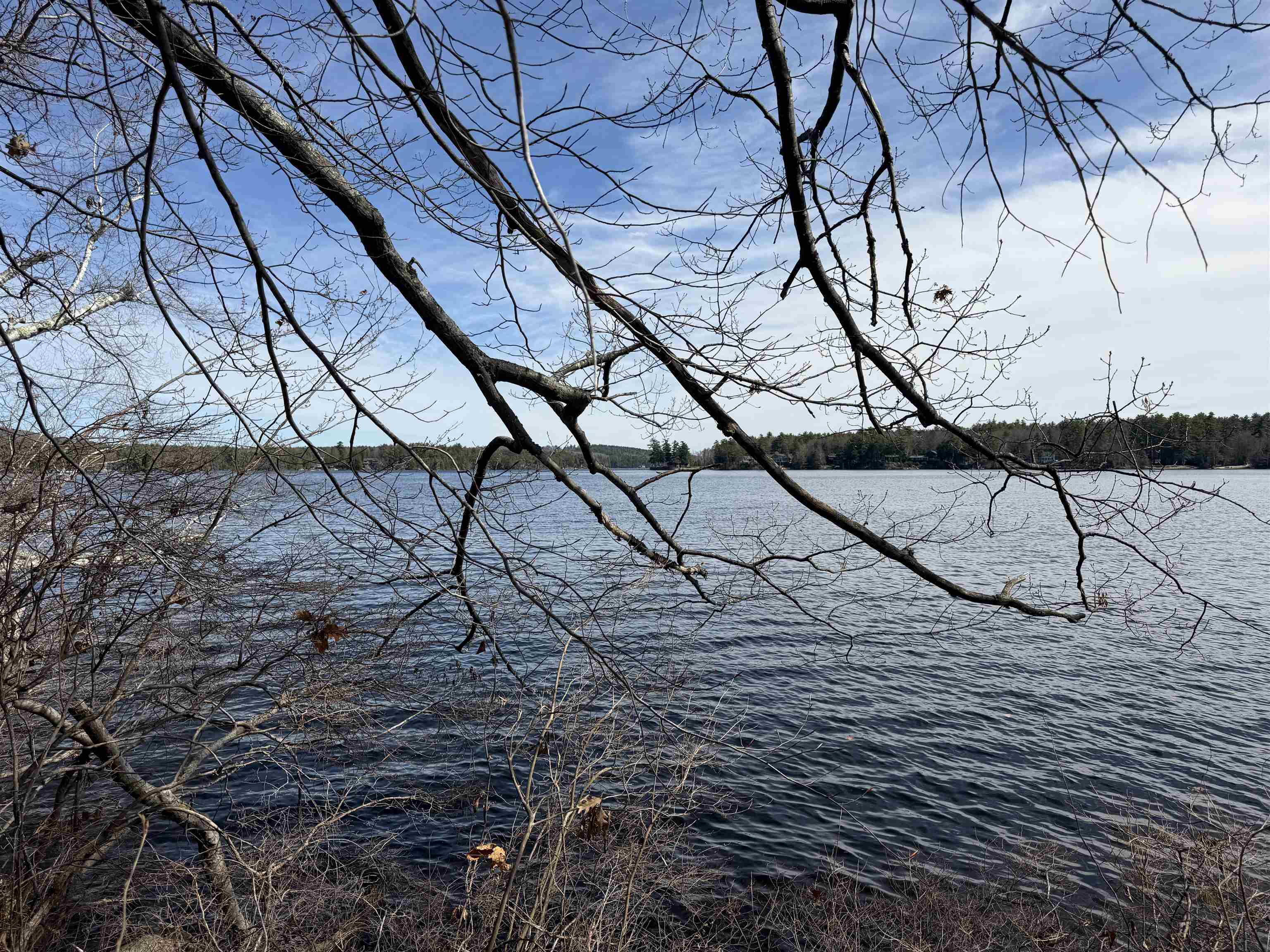 65.4 Gansy Island Property Photo 12