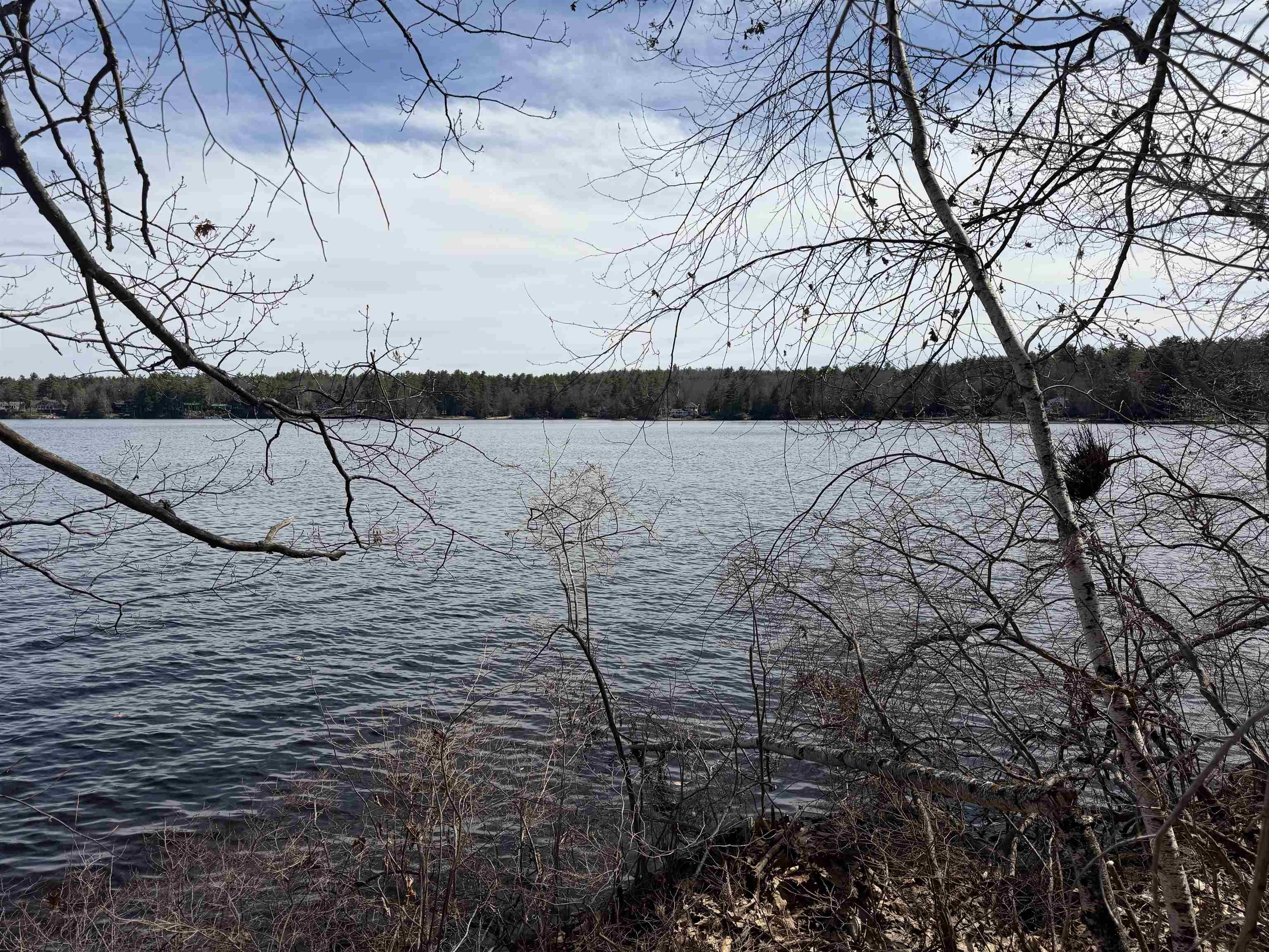65.4 Gansy Island Property Photo 13