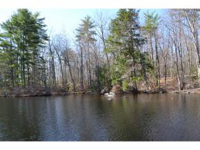 65.4 Gansy Island Property Photo 14