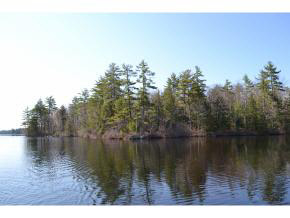 65.4 Gansy Island Property Photo 15
