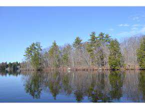 65.4 Gansy Island Property Photo 16