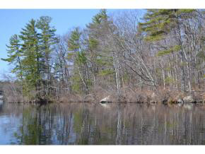65.4 Gansy Island Property Photo 17