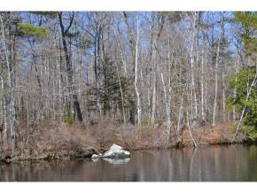 65.4 Gansy Island Property Photo 18