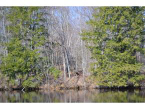 65.4 Gansy Island Property Photo 19