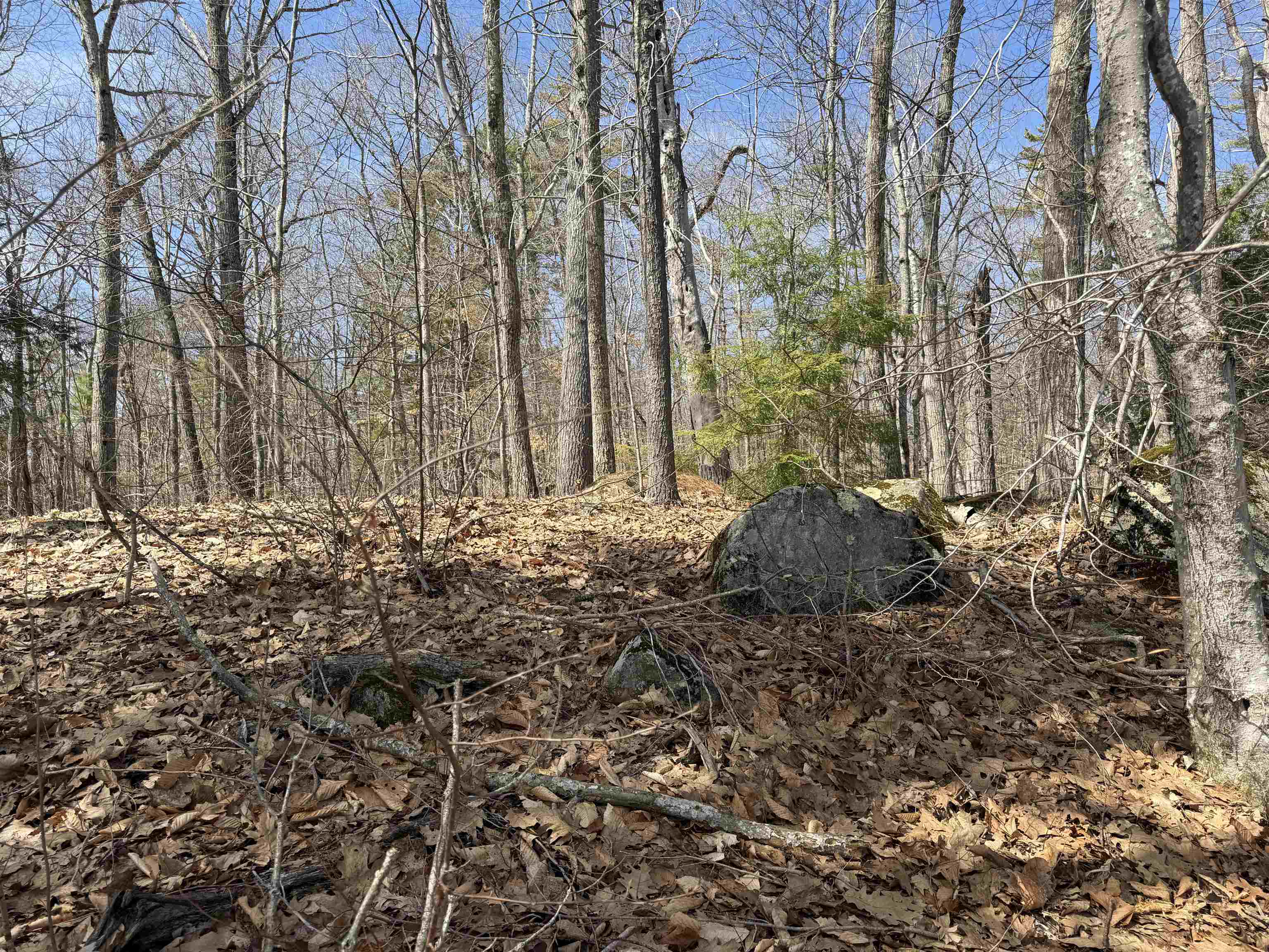 65.4 Gansy Island Property Photo 20