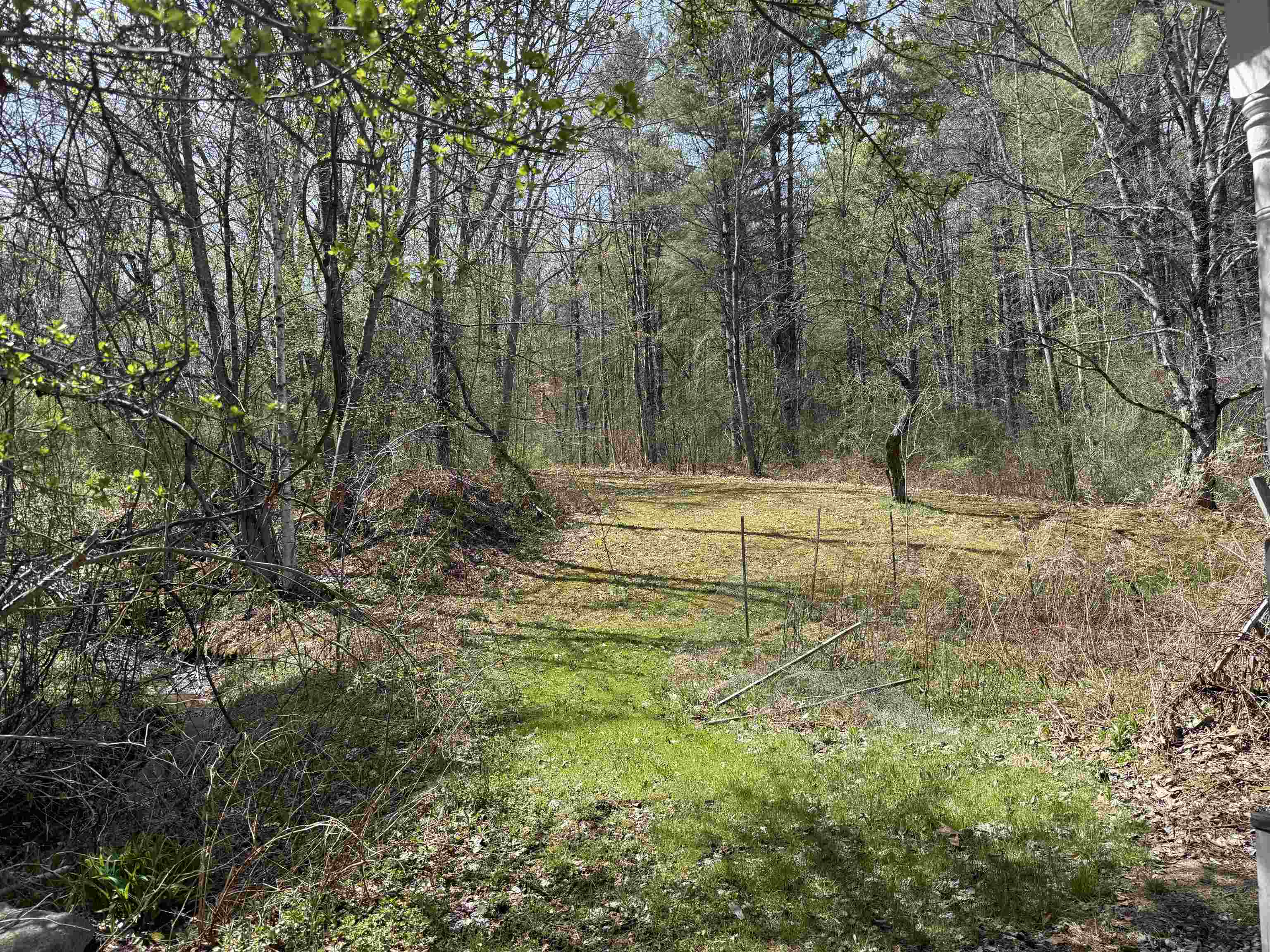 105 Craigue Hill Property Photo 21