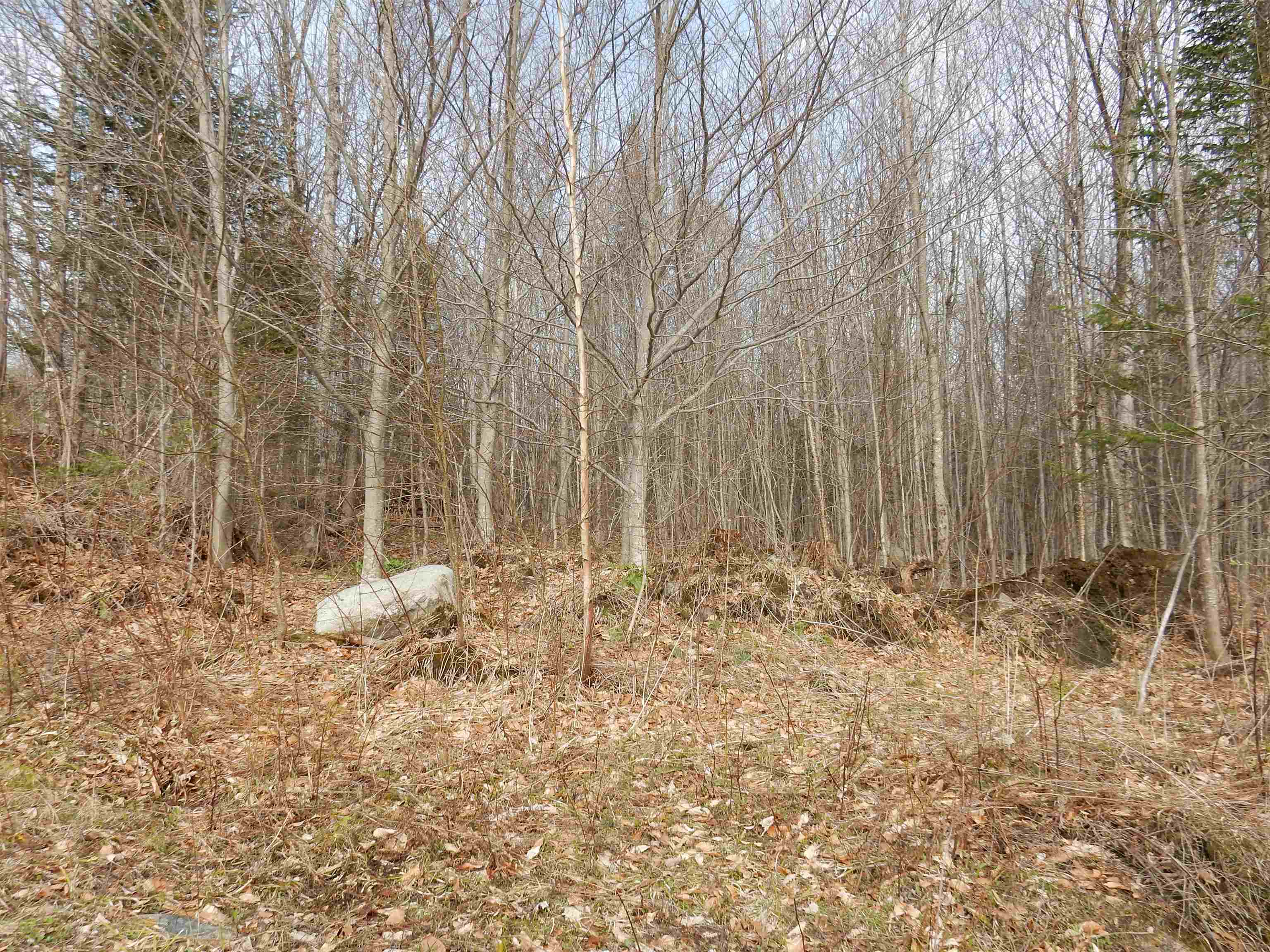 00 Burton Hill Road Property Photo 10