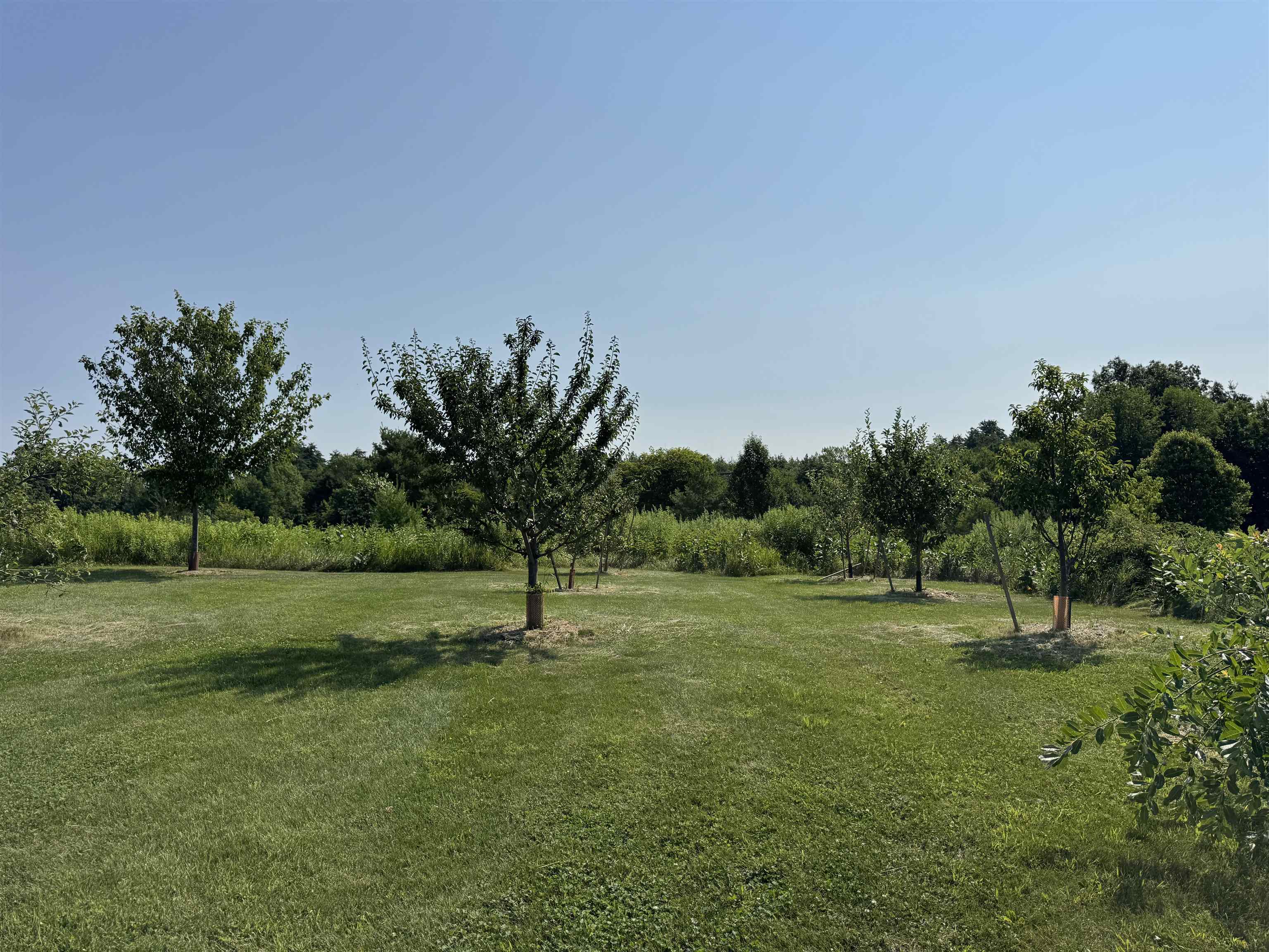 55 Braeside Place Property Photo 37