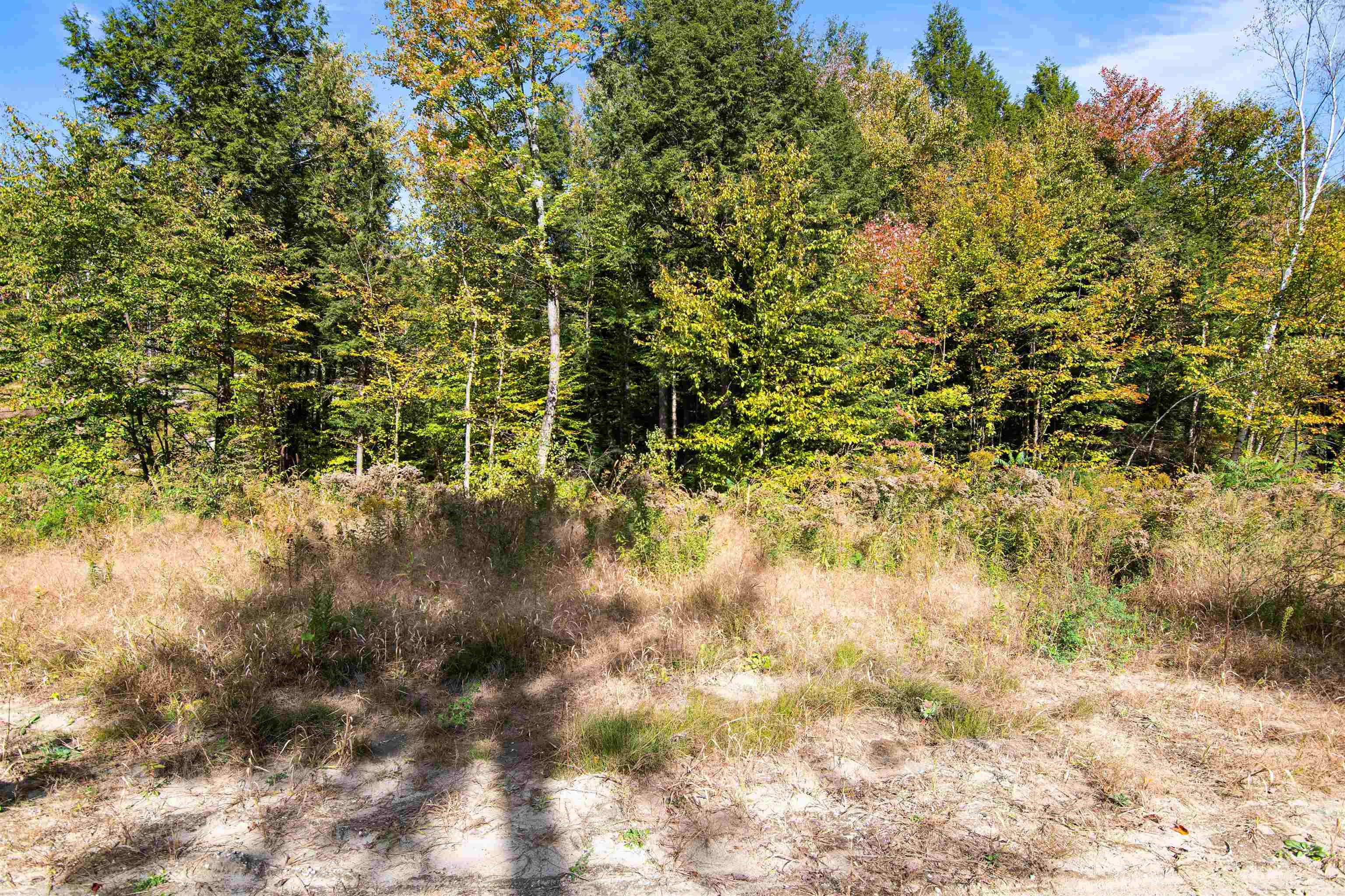 00 Raymo Drive Property Photo 28