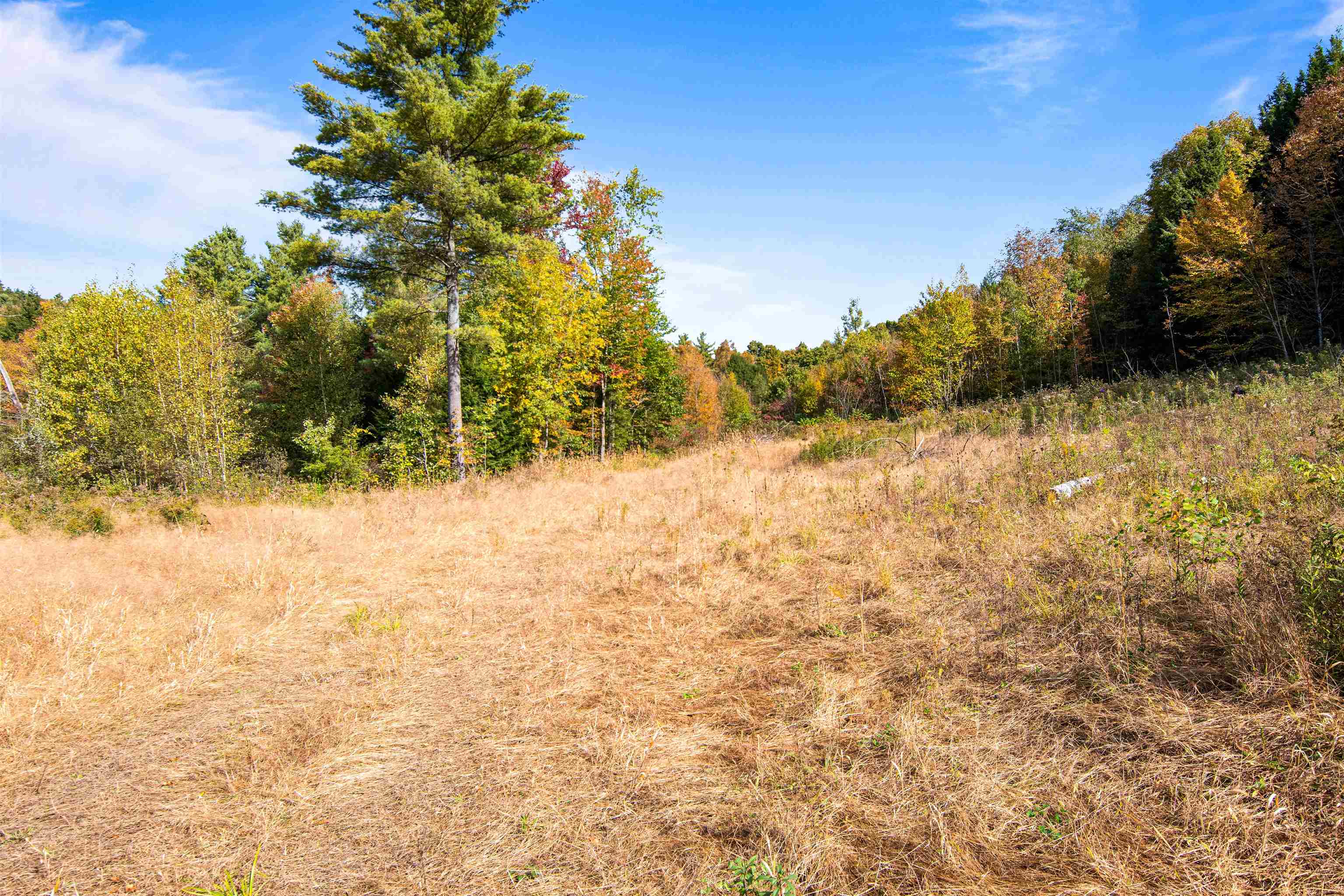 00 Raymo Drive Property Photo 33