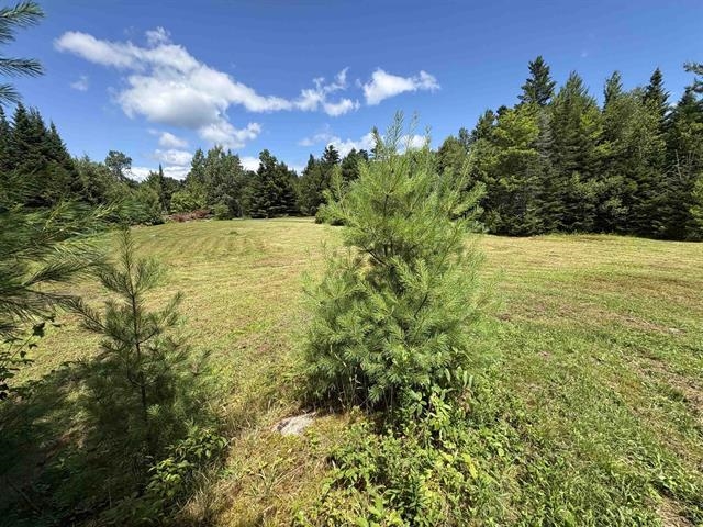 4366 Vt Rt 100 N Property Photo 1