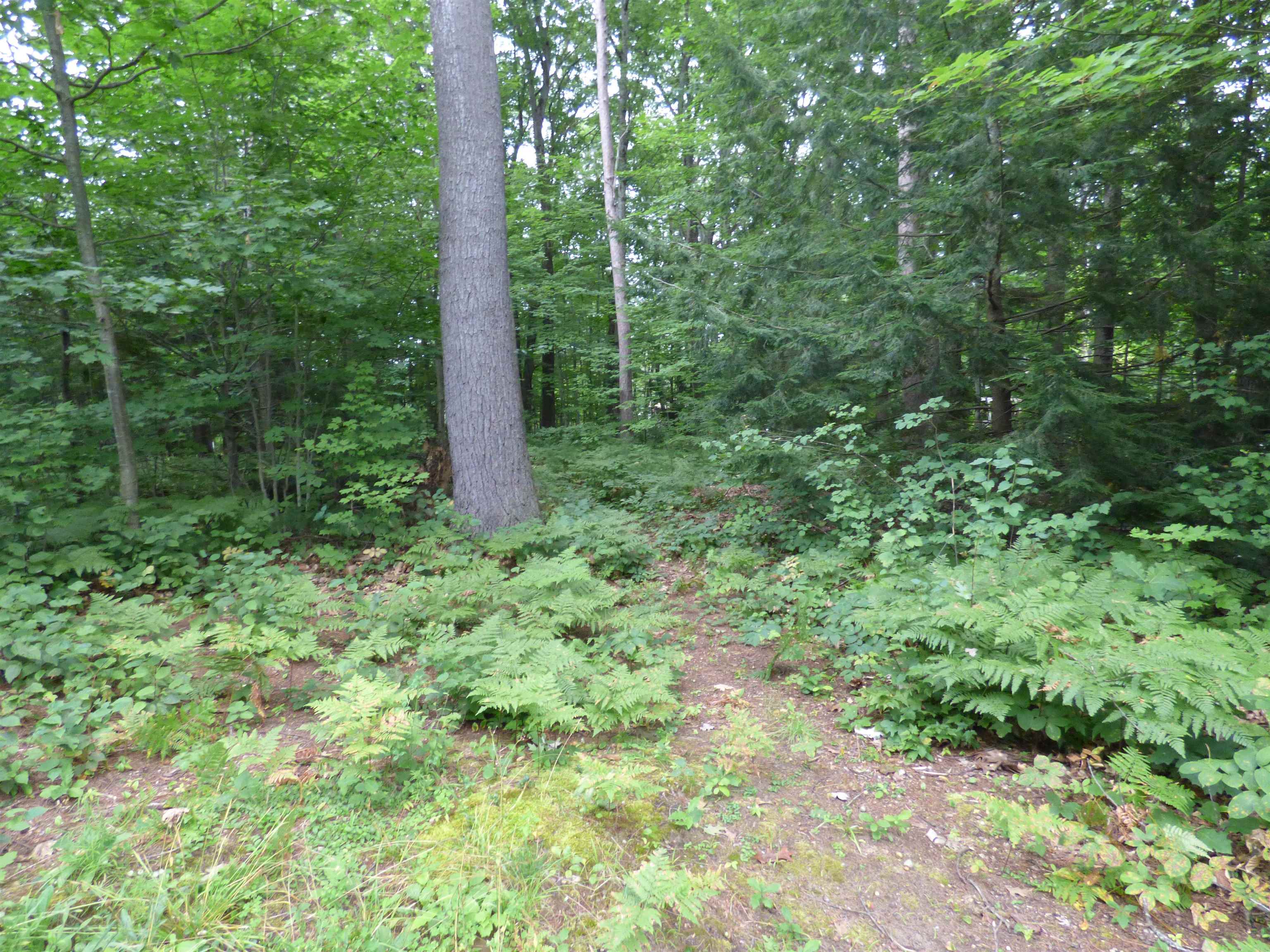 Clover Lane Property Photo 4