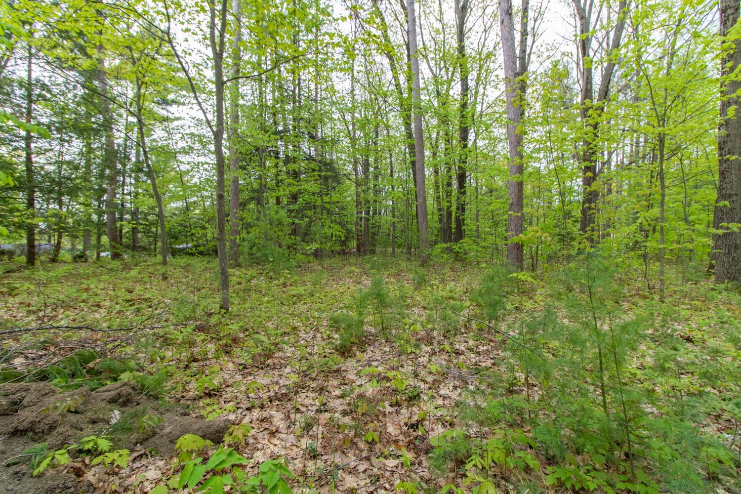 Clover Lane Property Photo 9