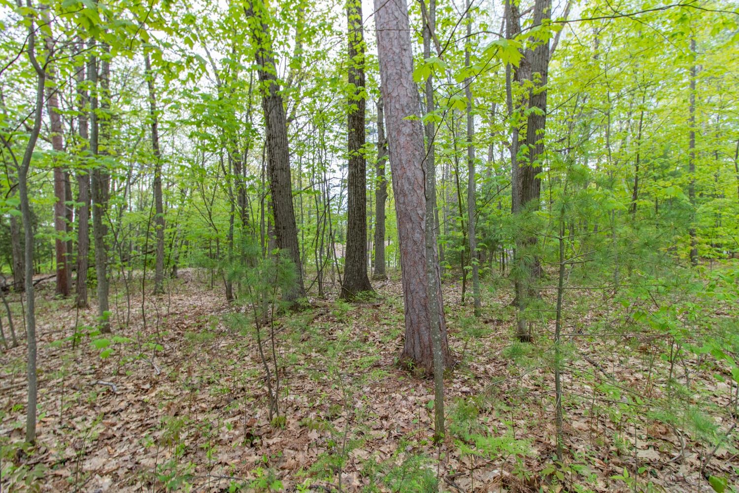 Clover Lane Property Photo 10