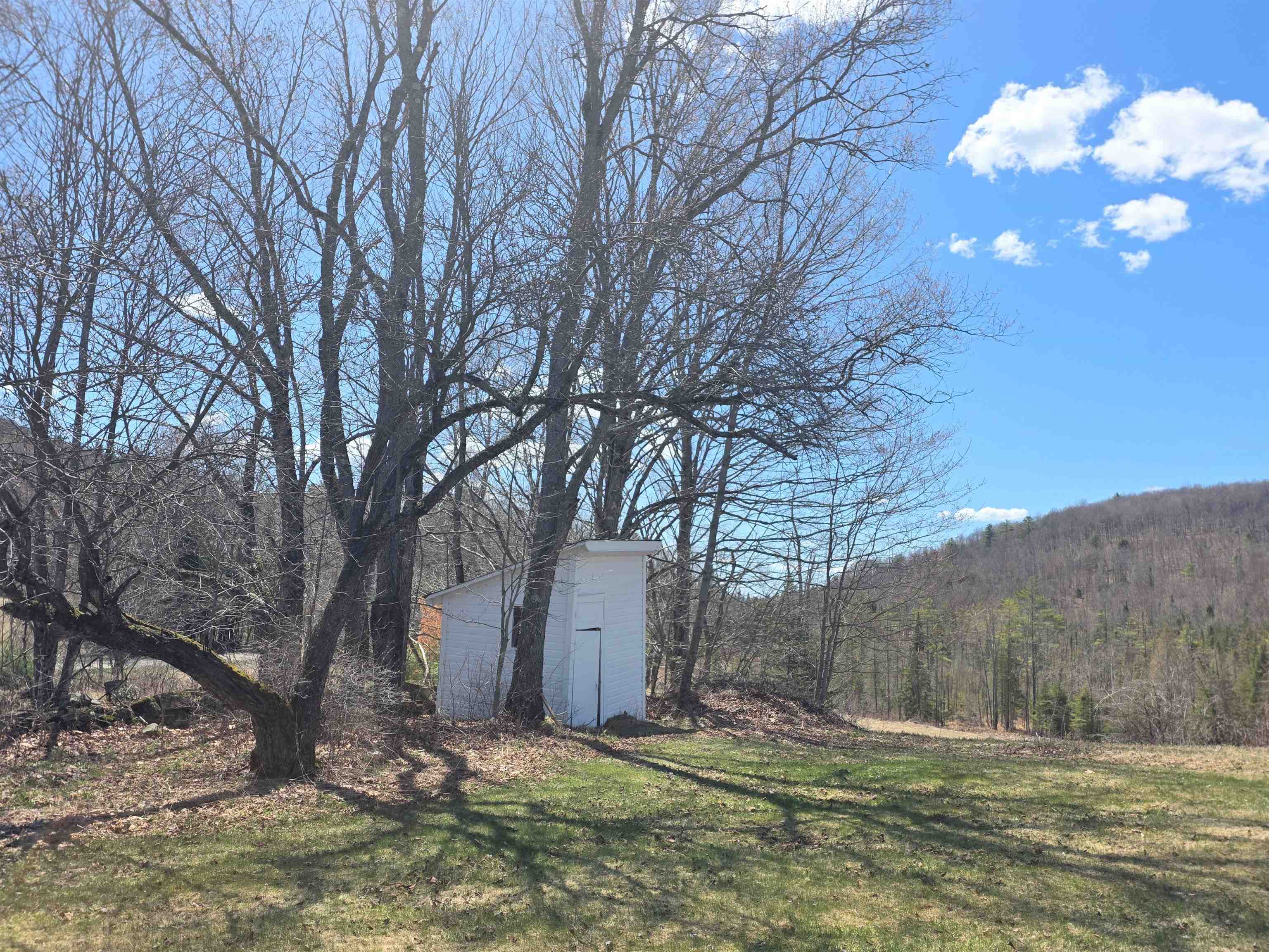 717 Remick Road Property Photo 32