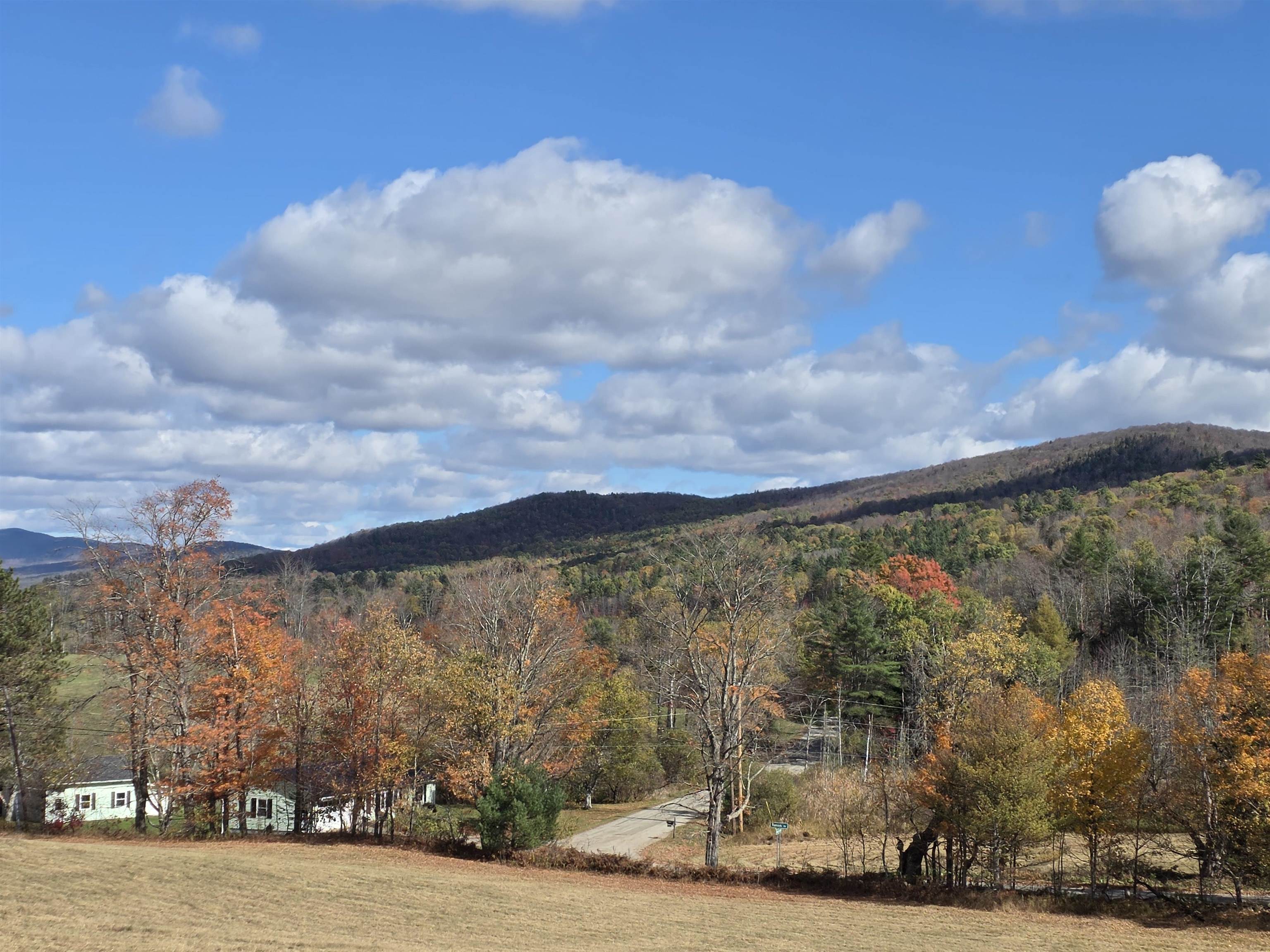 717 Remick Road Property Photo 56