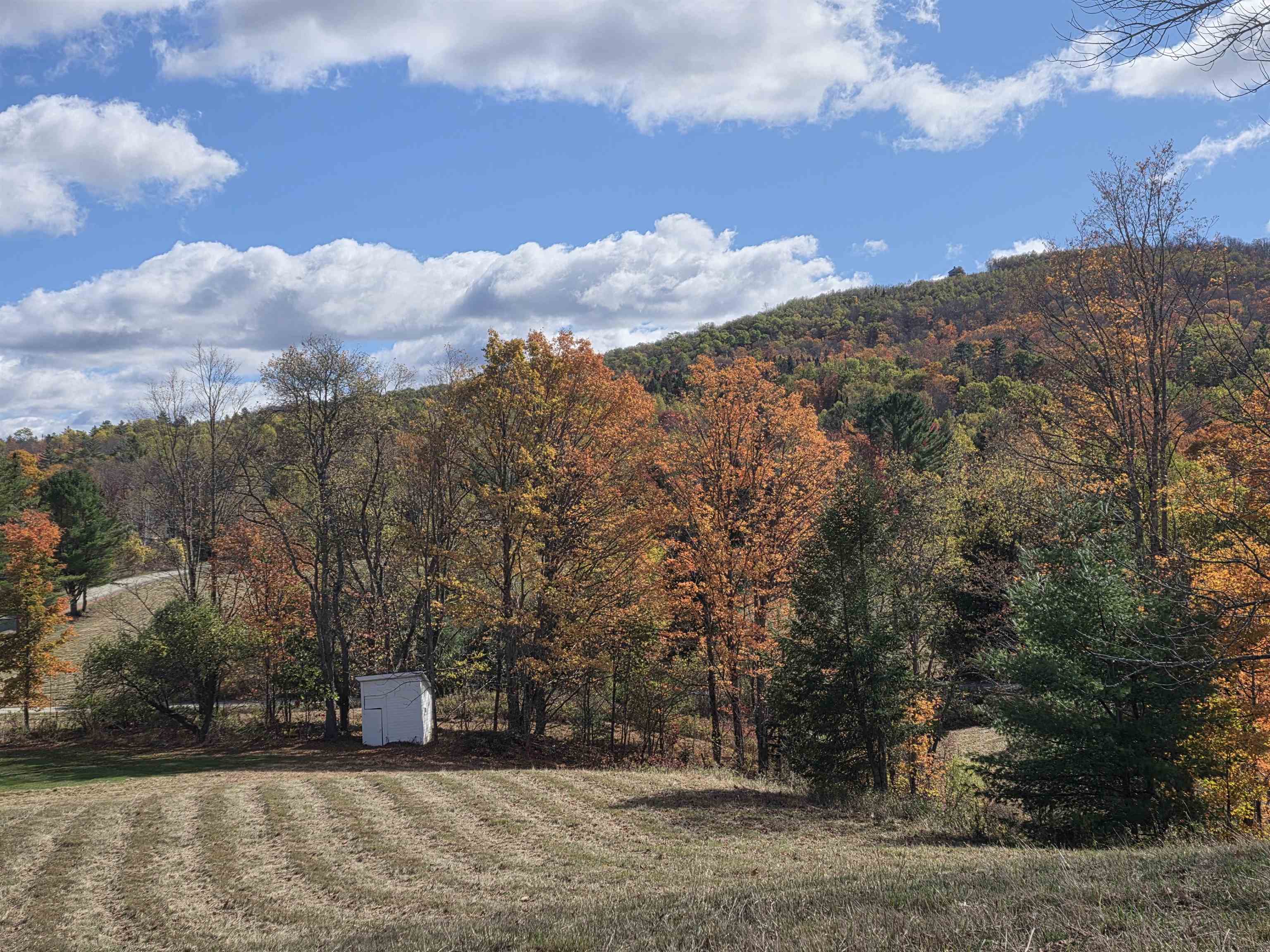 717 Remick Road Property Photo 58