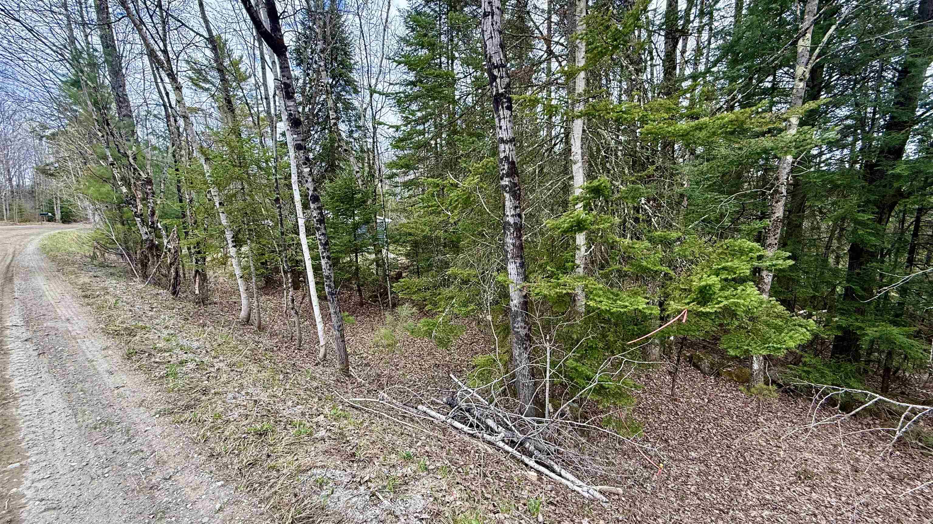 227 Dukes Road Property Photo 3