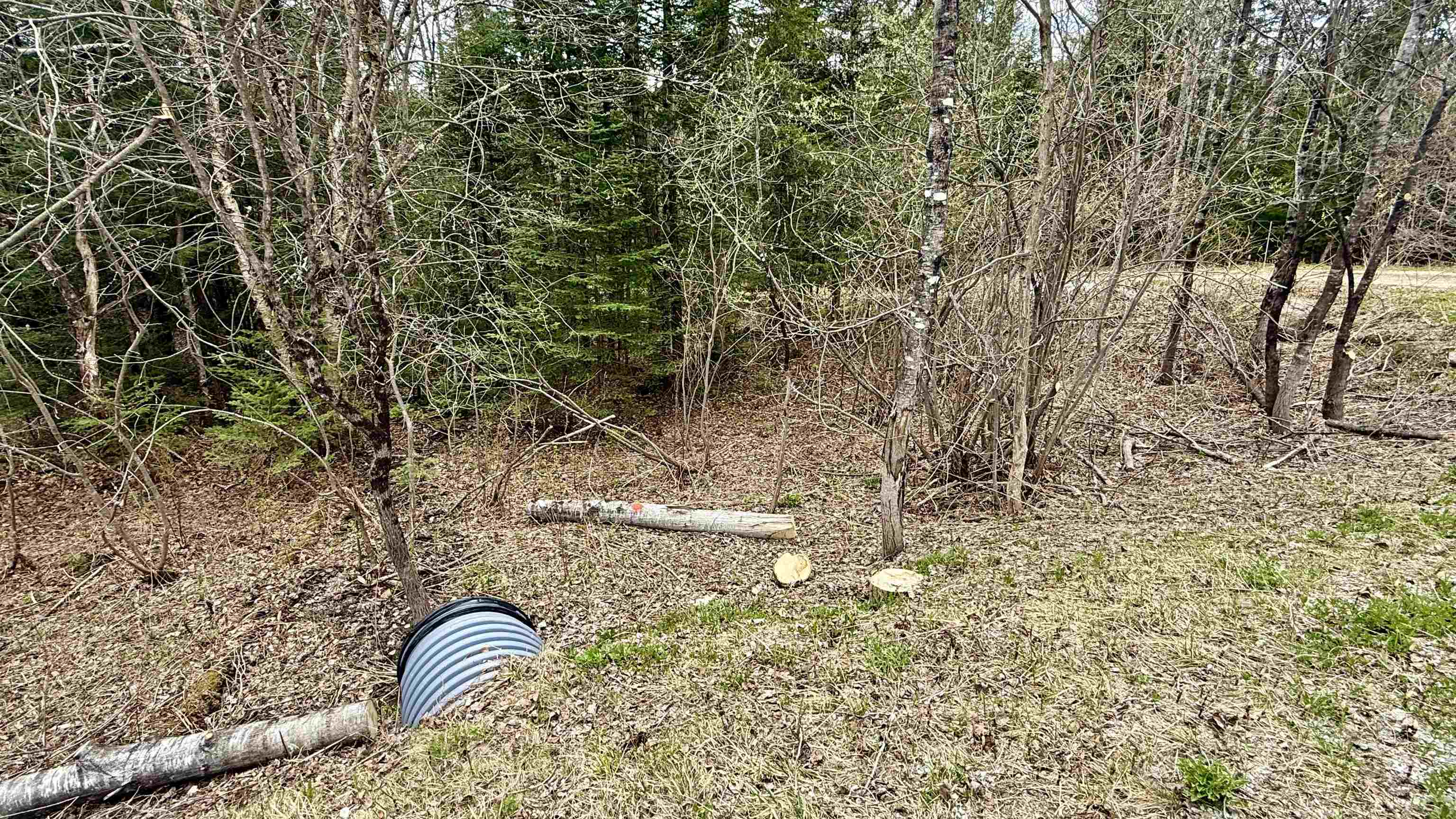 227 Dukes Road Property Photo 4