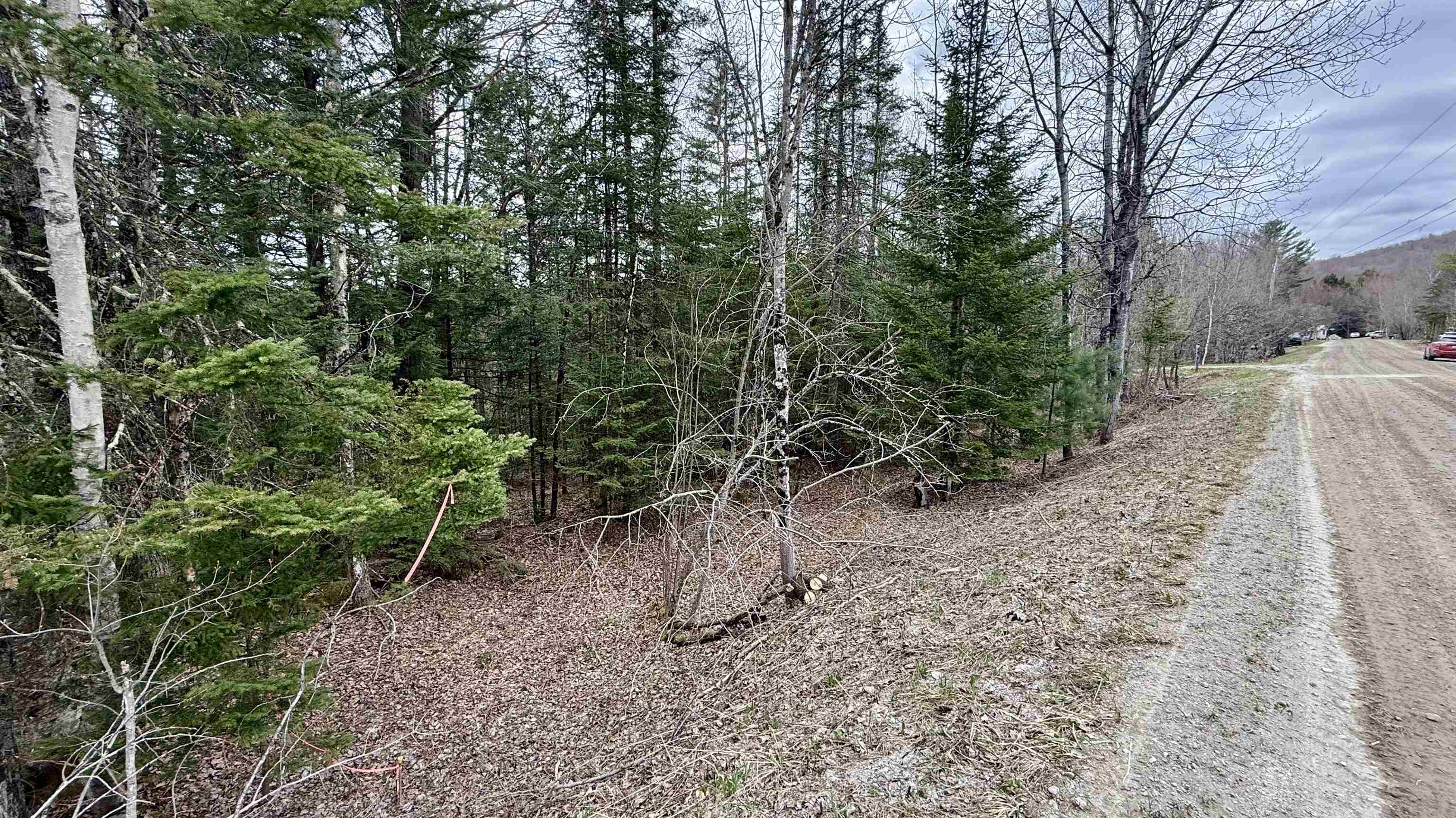 227 Dukes Road Property Photo 5