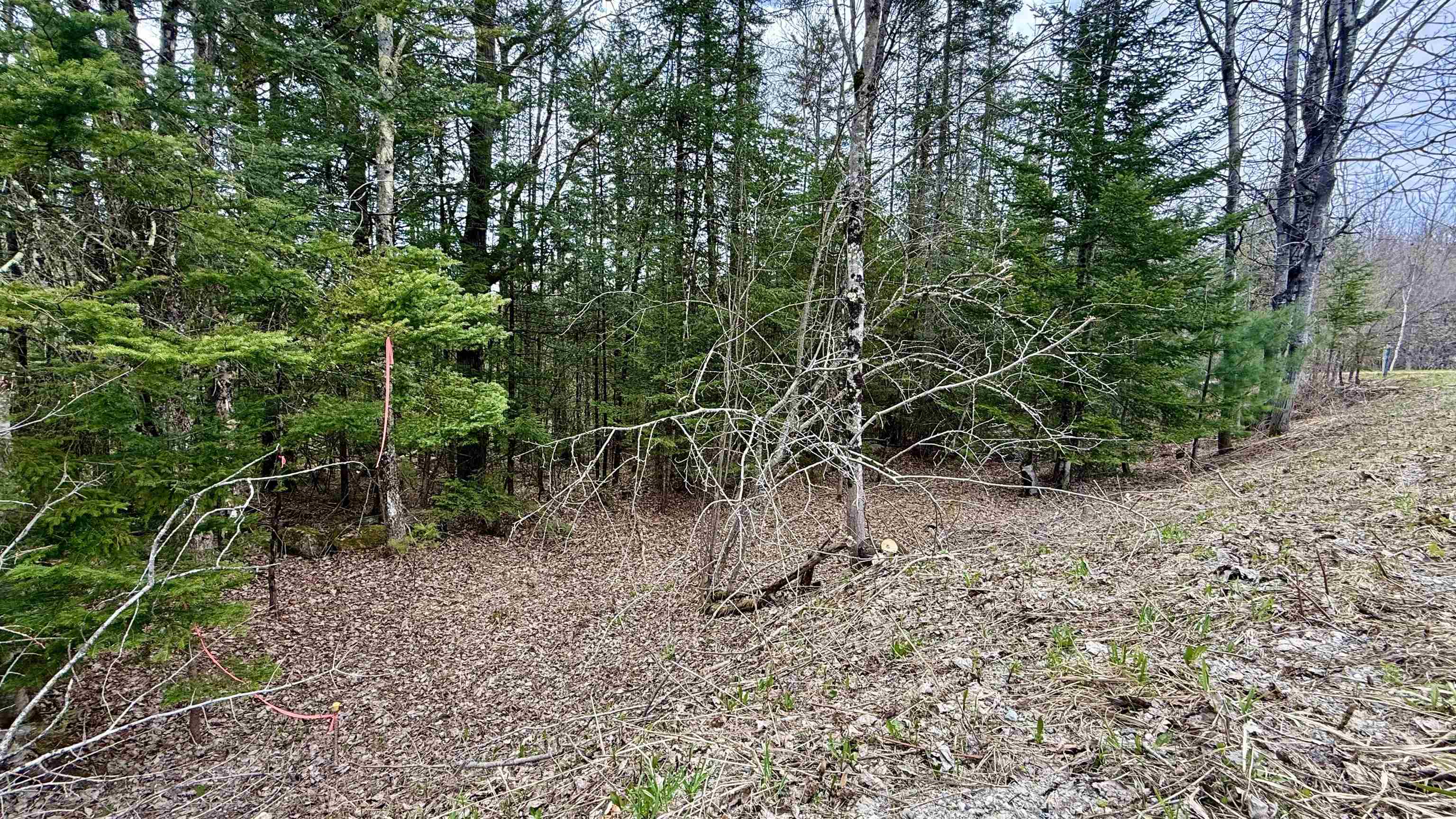 227 Dukes Road Property Photo 6