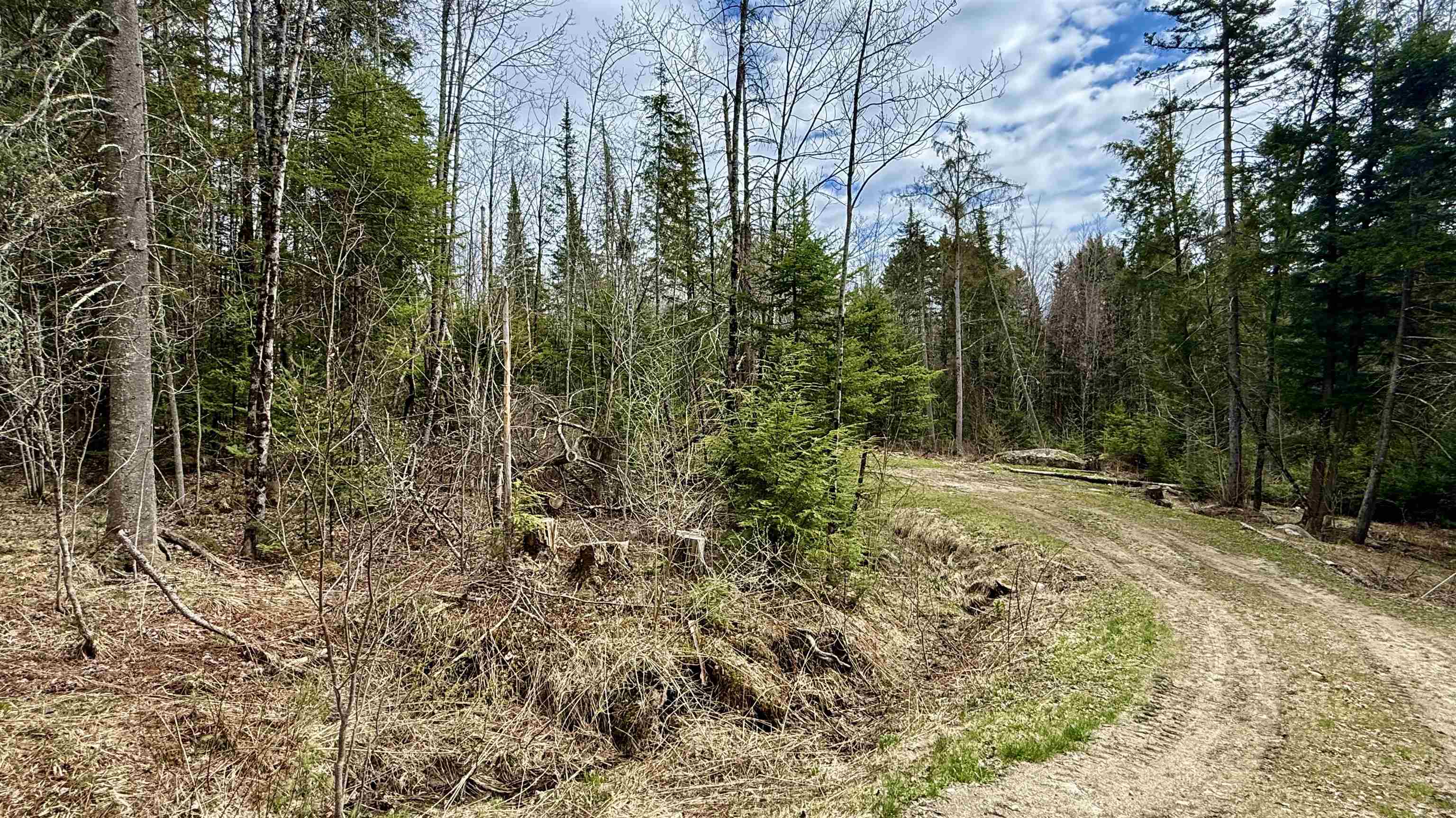 227 Dukes Road Property Photo 12