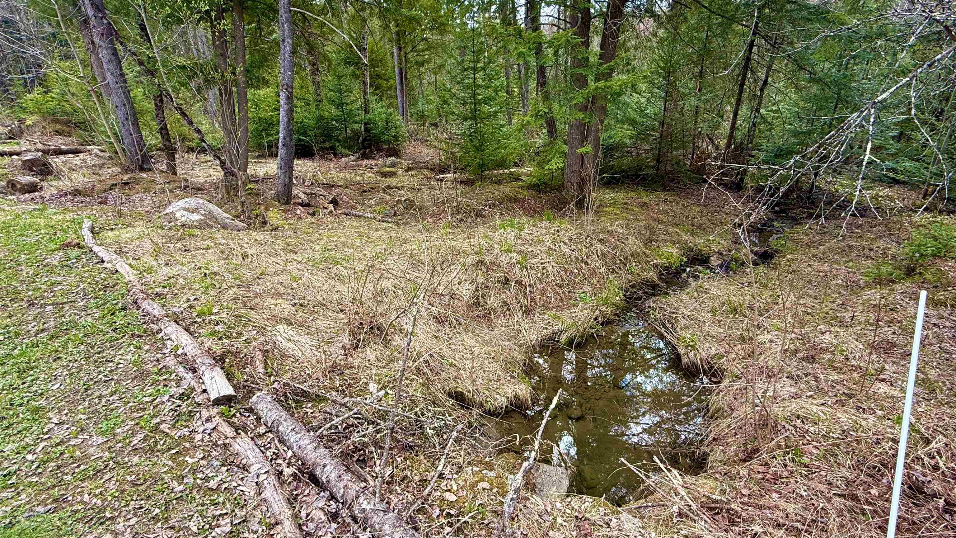 227 Dukes Road Property Photo 16